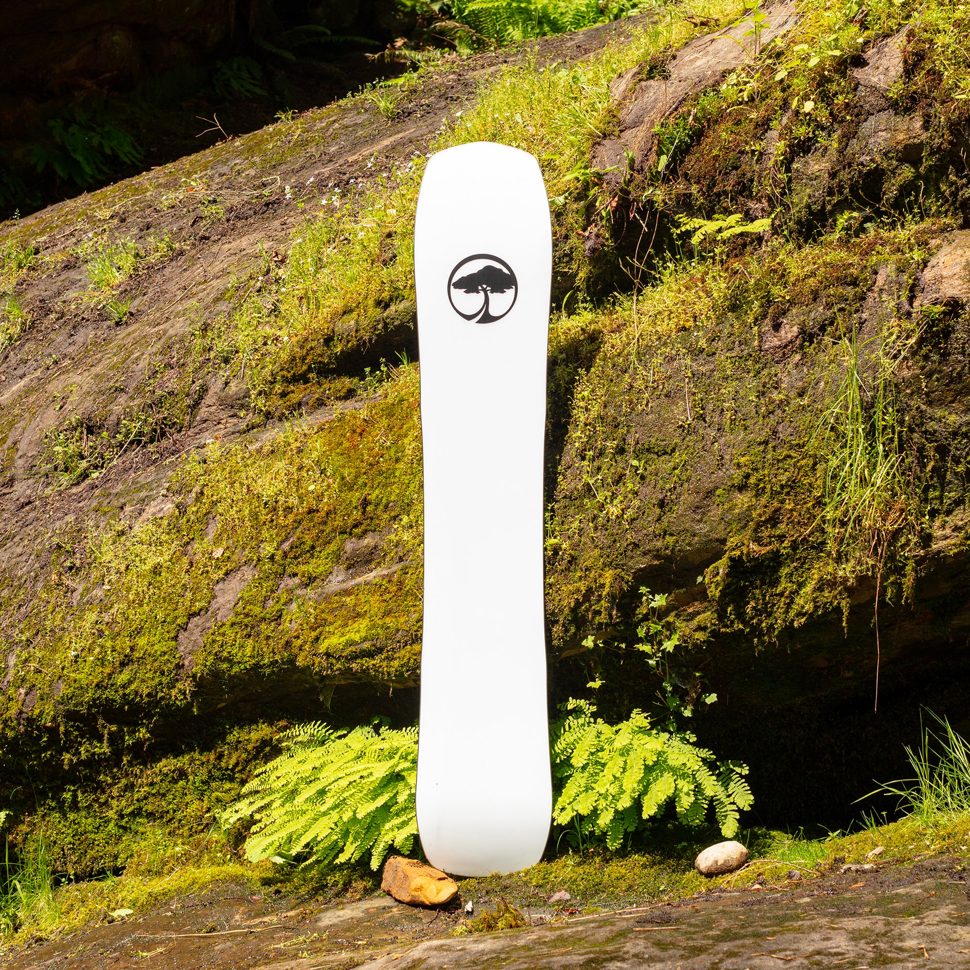 A-Frame - Image 6