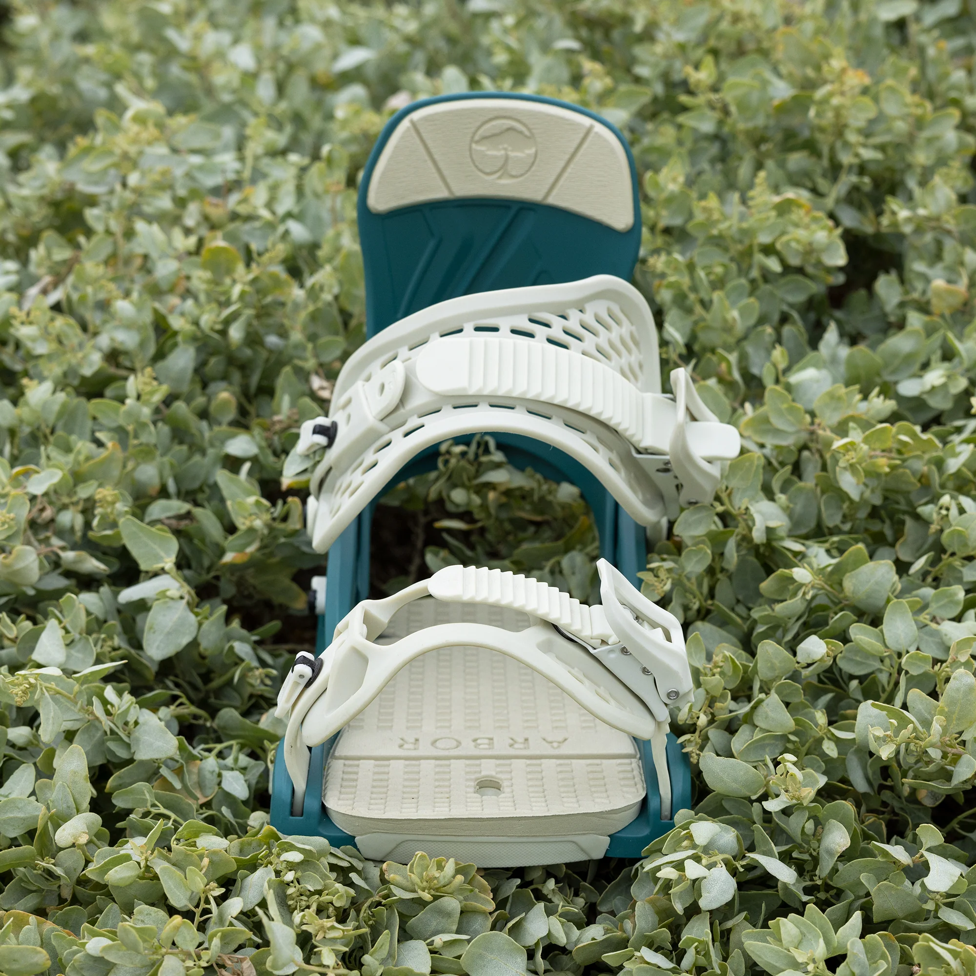 Acacia Turquoise - Image 12
