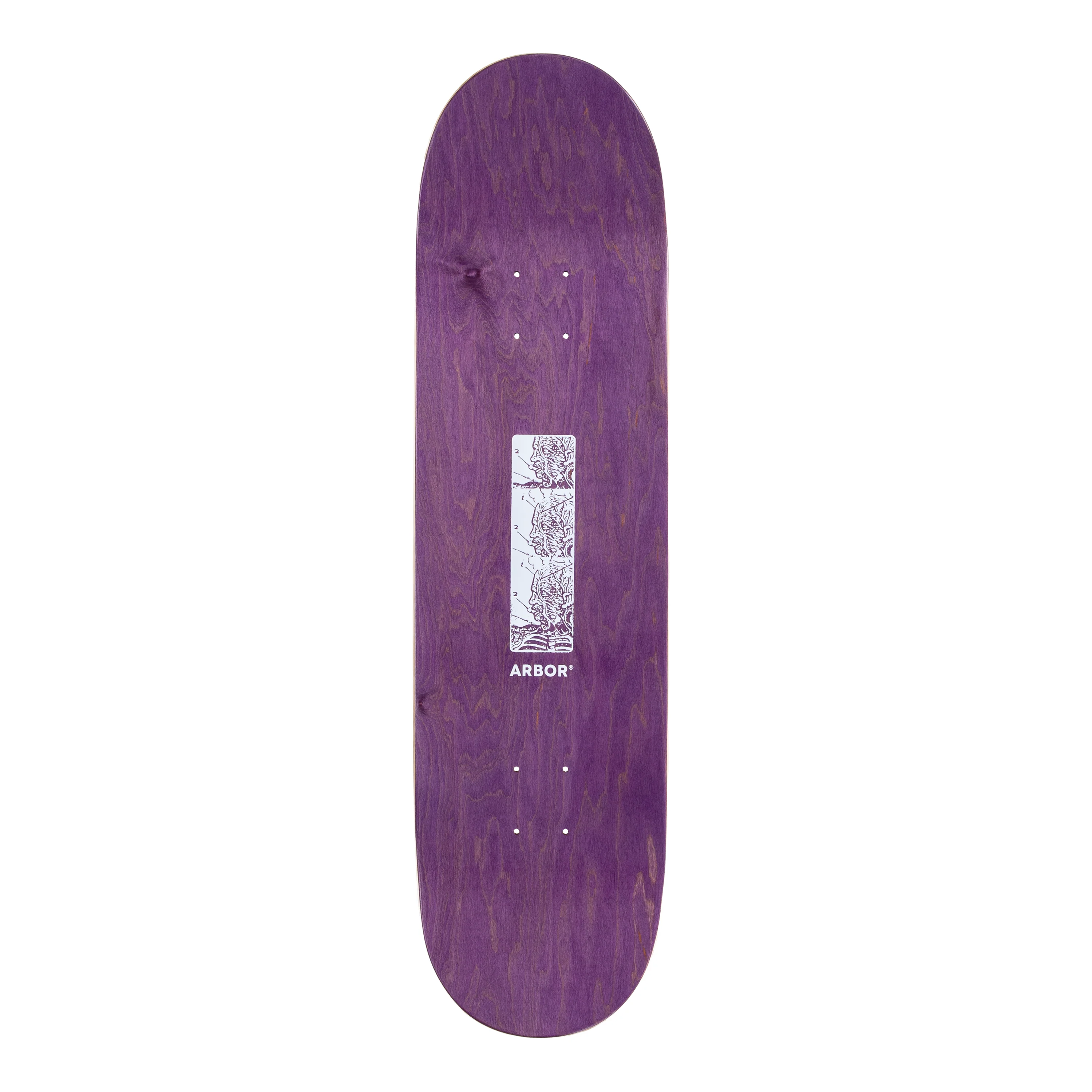 Ace Pelka Anatomy 8.5 - Image 5