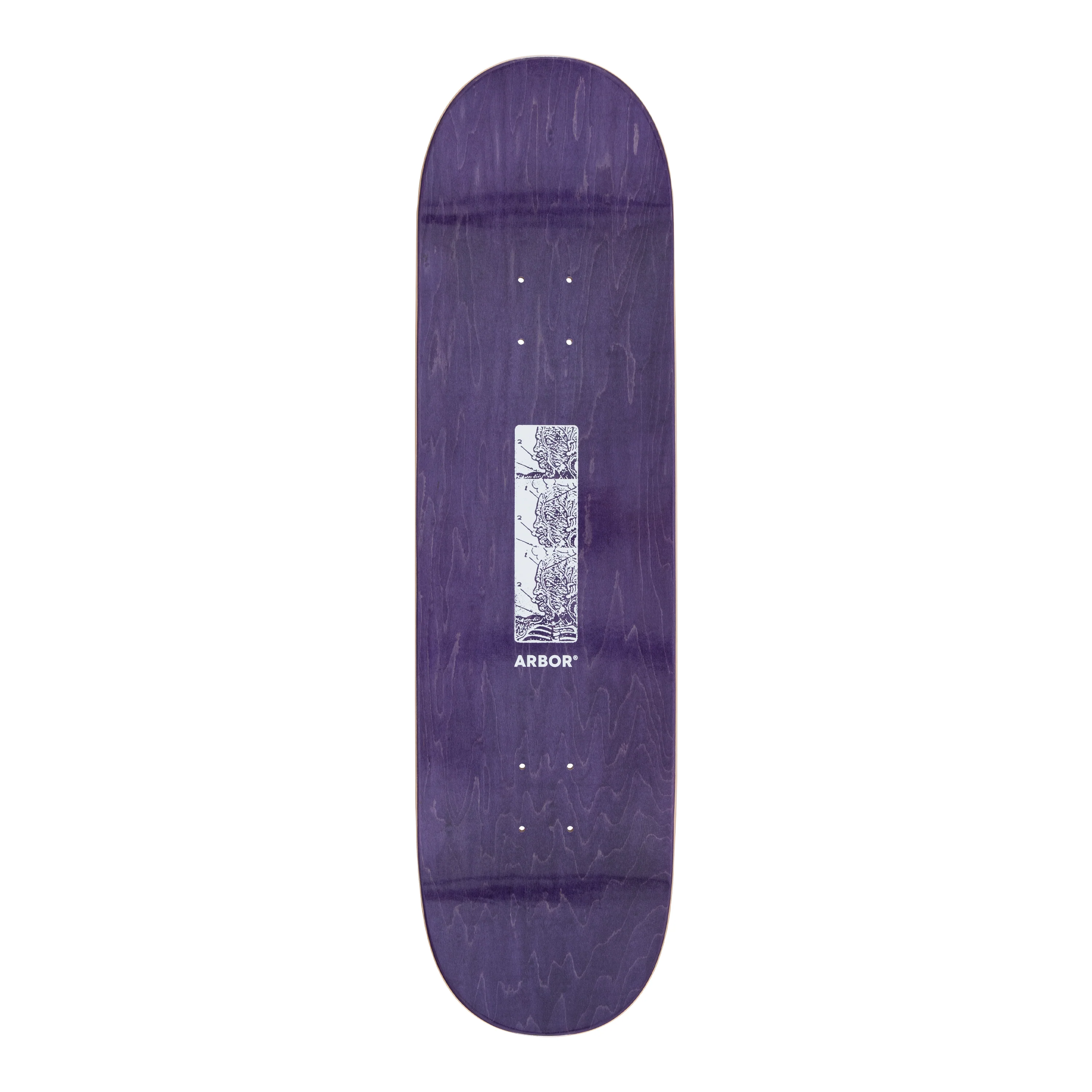 Ace Pelka Anatomy 8.75 - Image 5