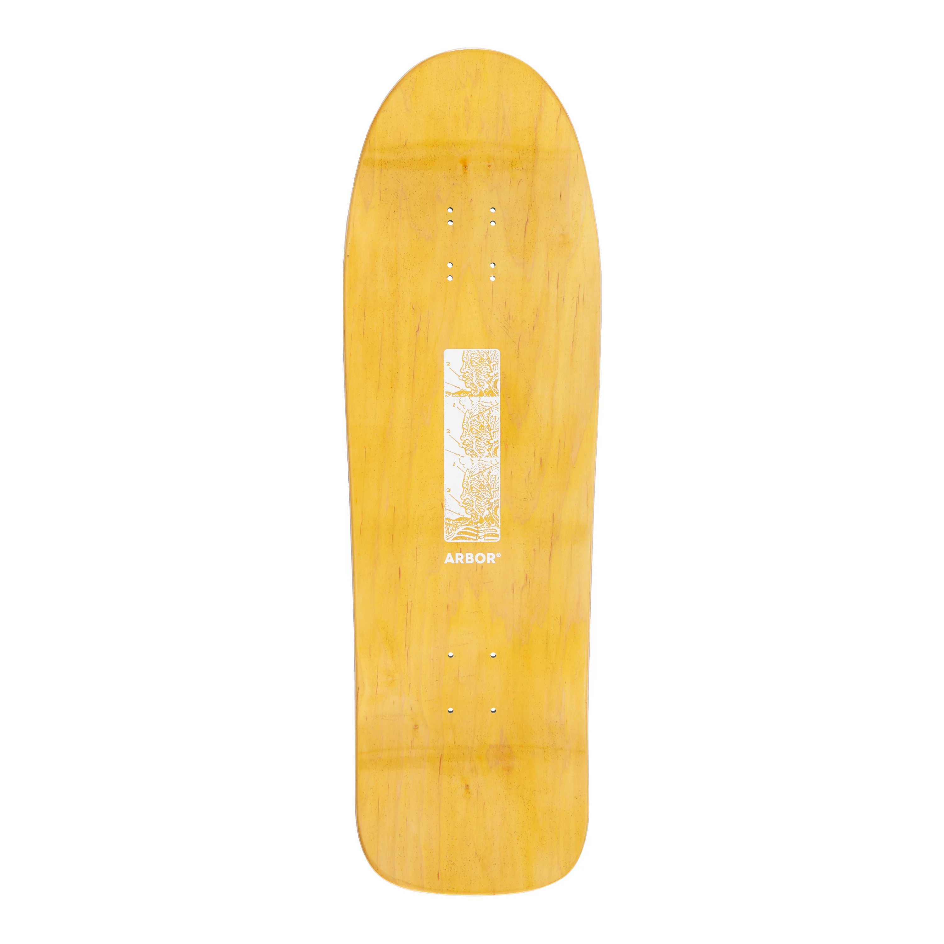 Ace Pelka Anatomy 9.75 - Image 5