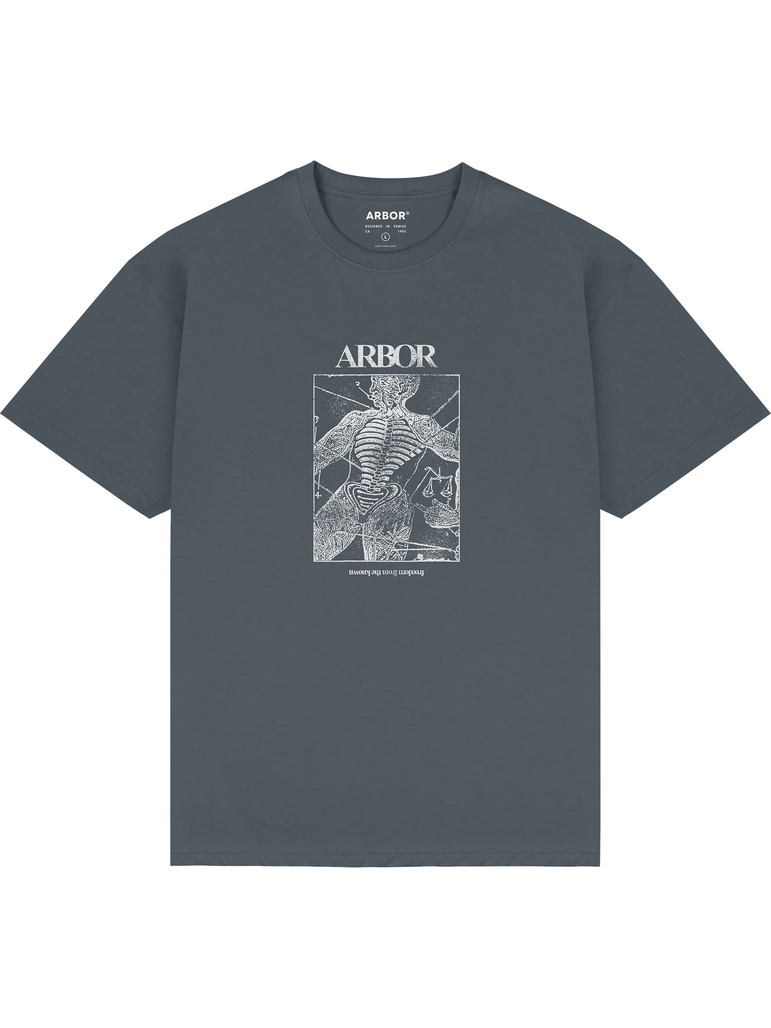 Anatomy T-Shirt - Charcoal / Glow