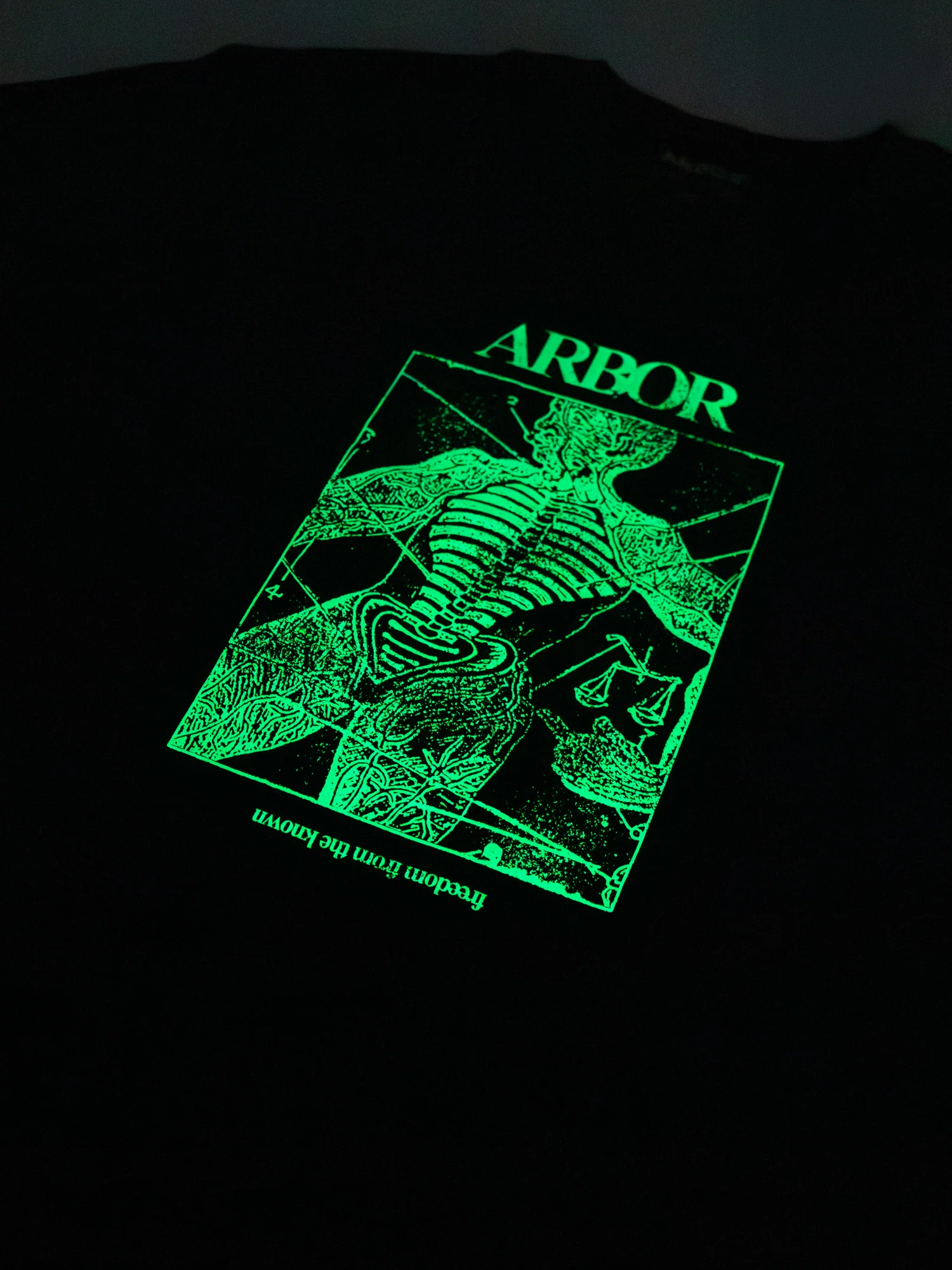Anatomy T-Shirt - Charcoal / Glow - Image 2