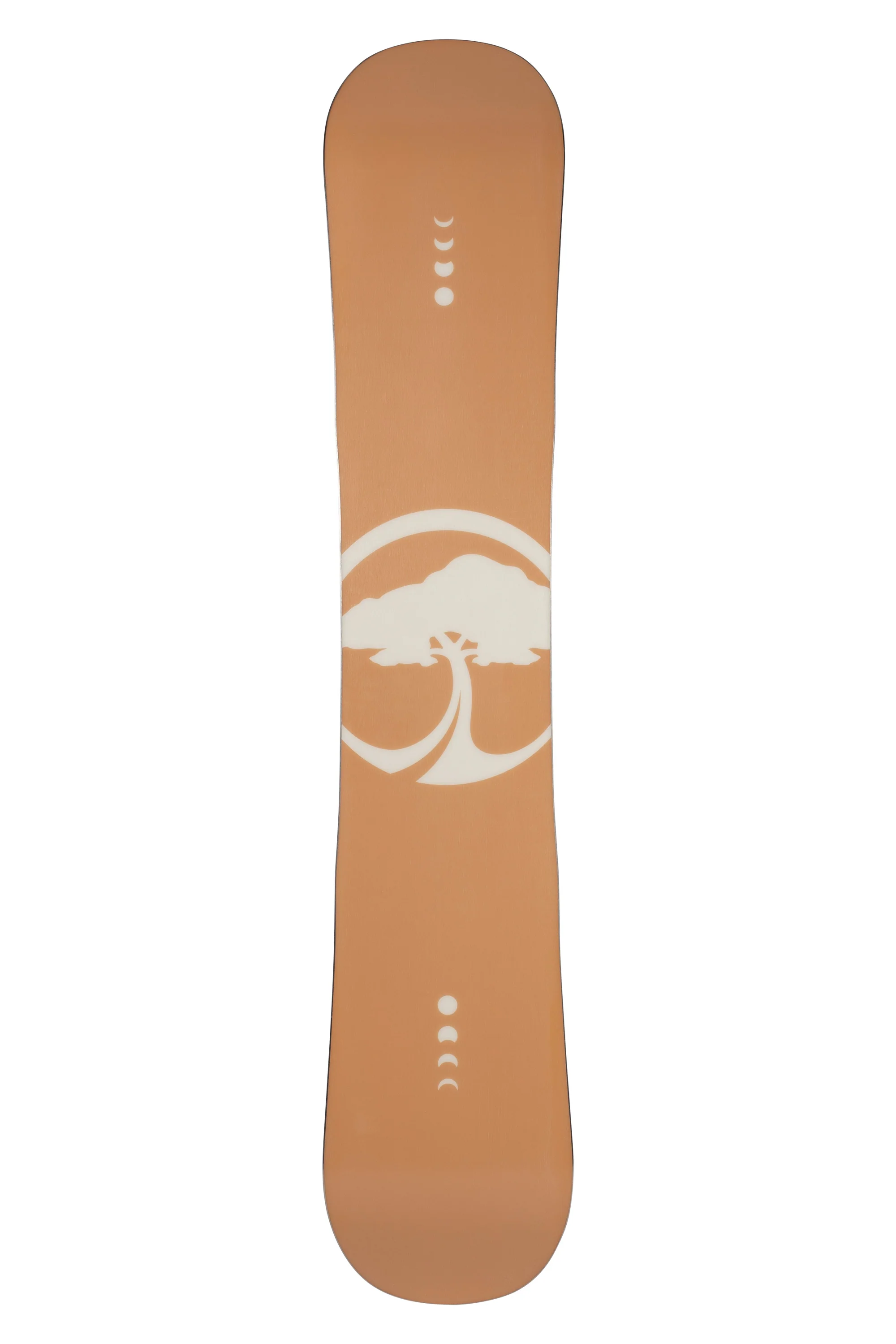 Cadence Camber - Image 6