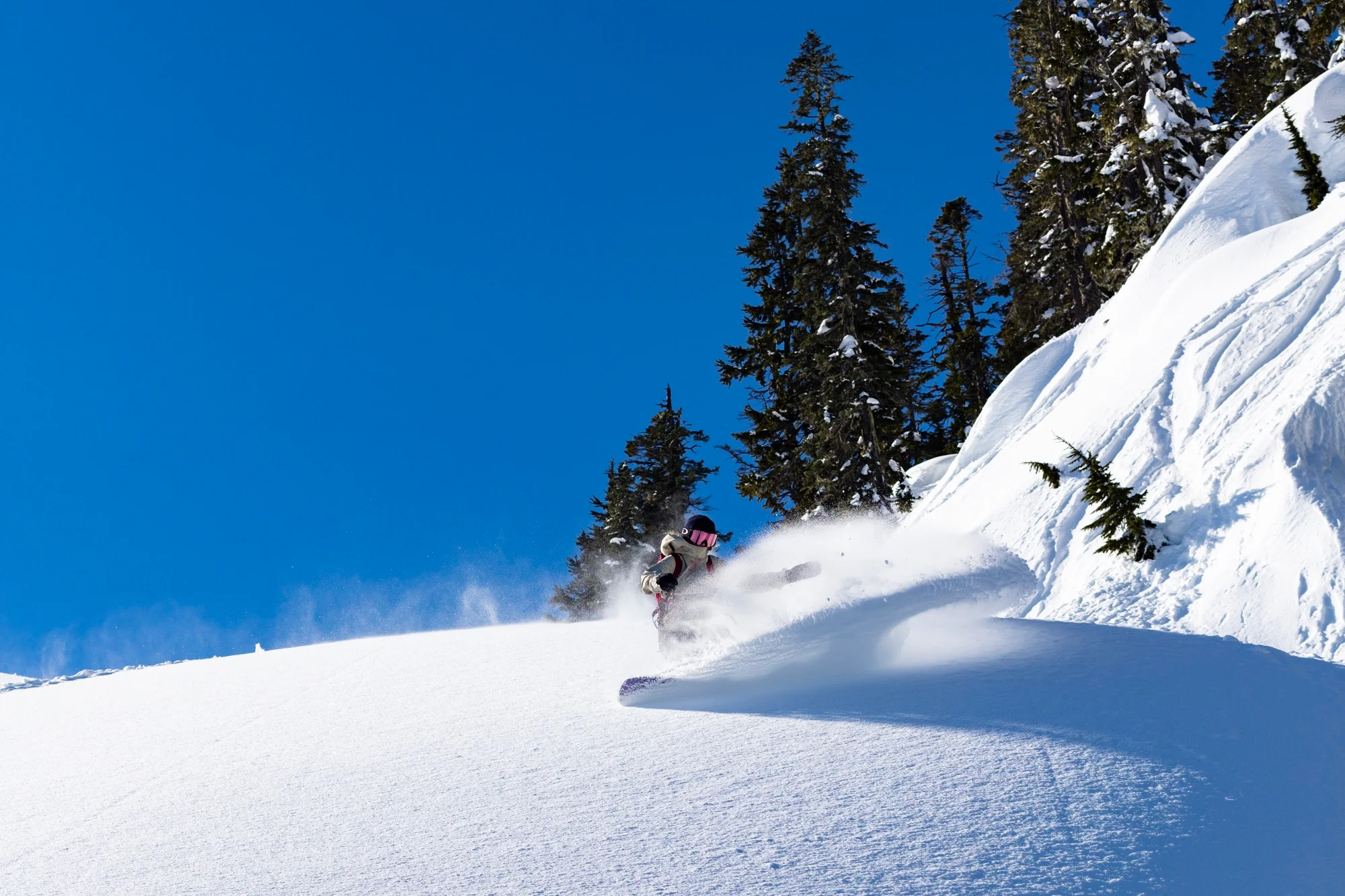 Cadence Camber - Image 7