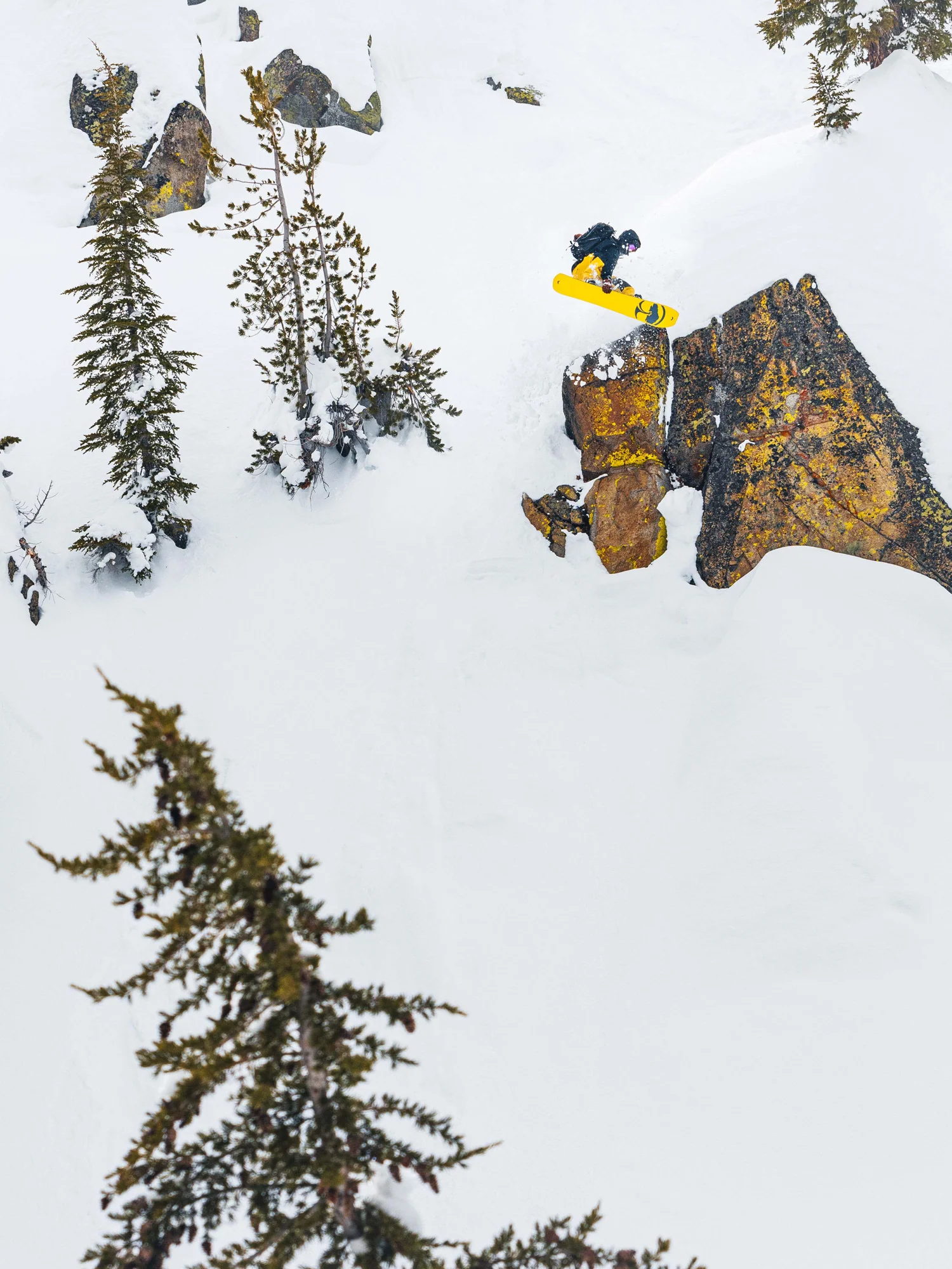 Carbon Coda Snowboard - Image 6