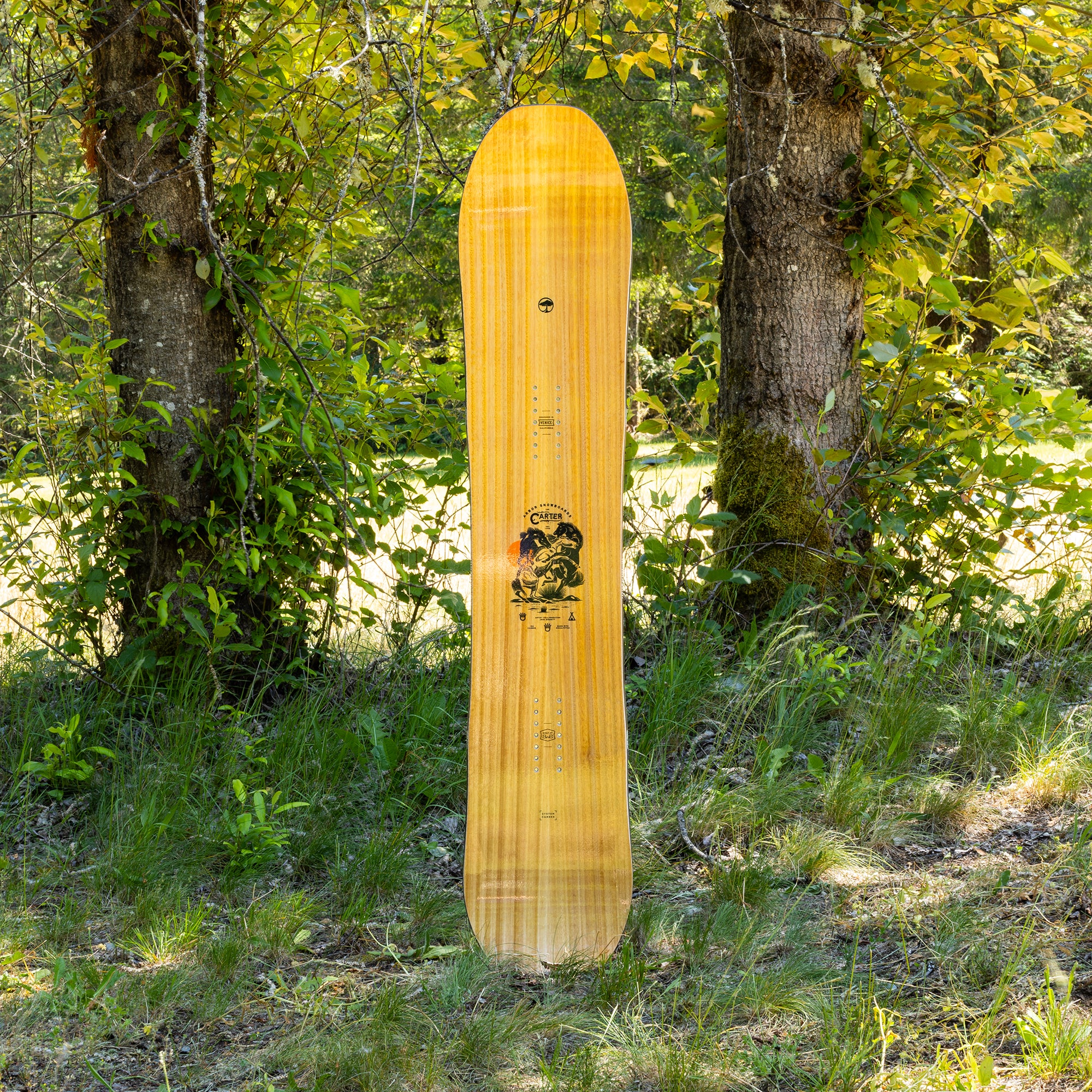 Carter Camber - Image 5