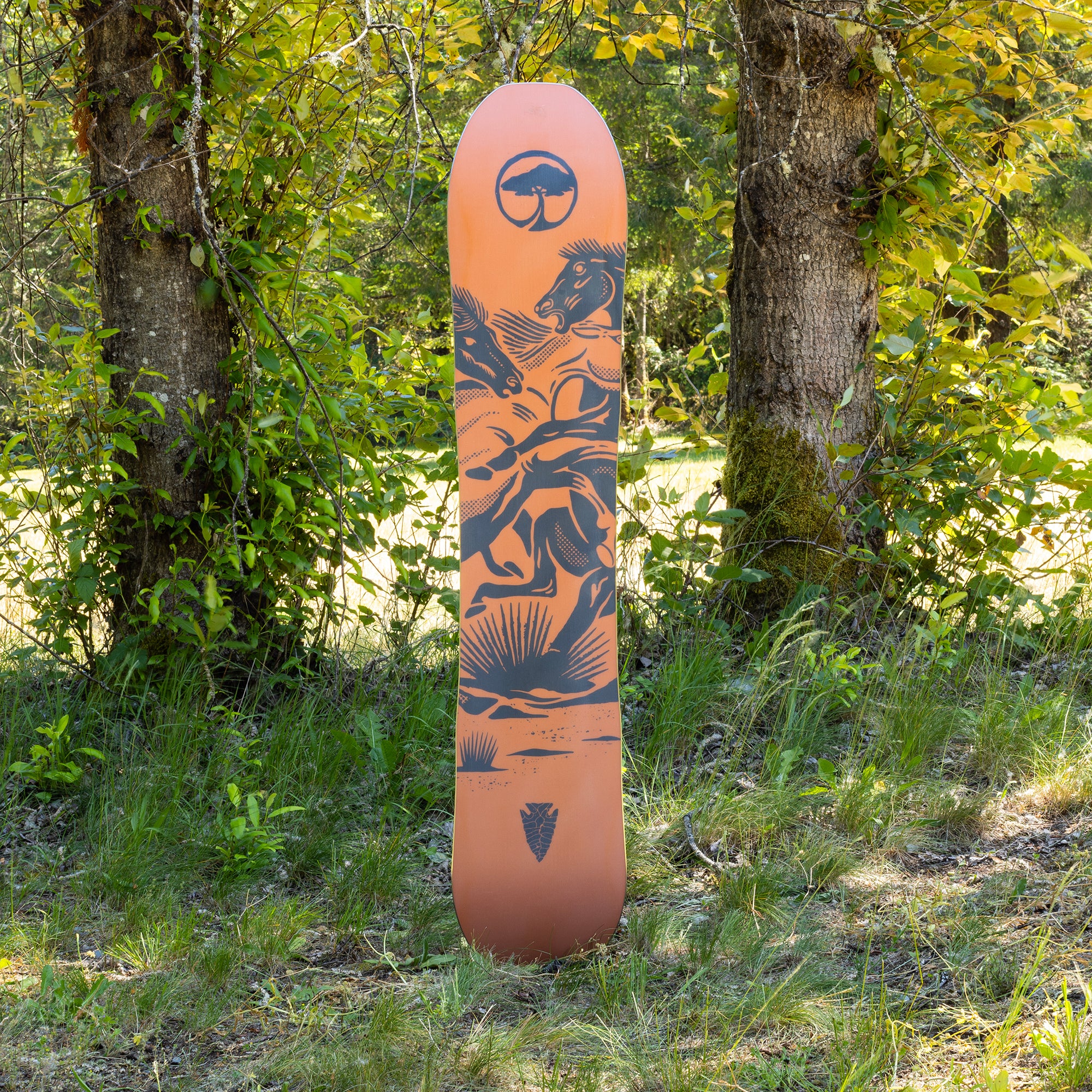 Carter Camber - Image 6