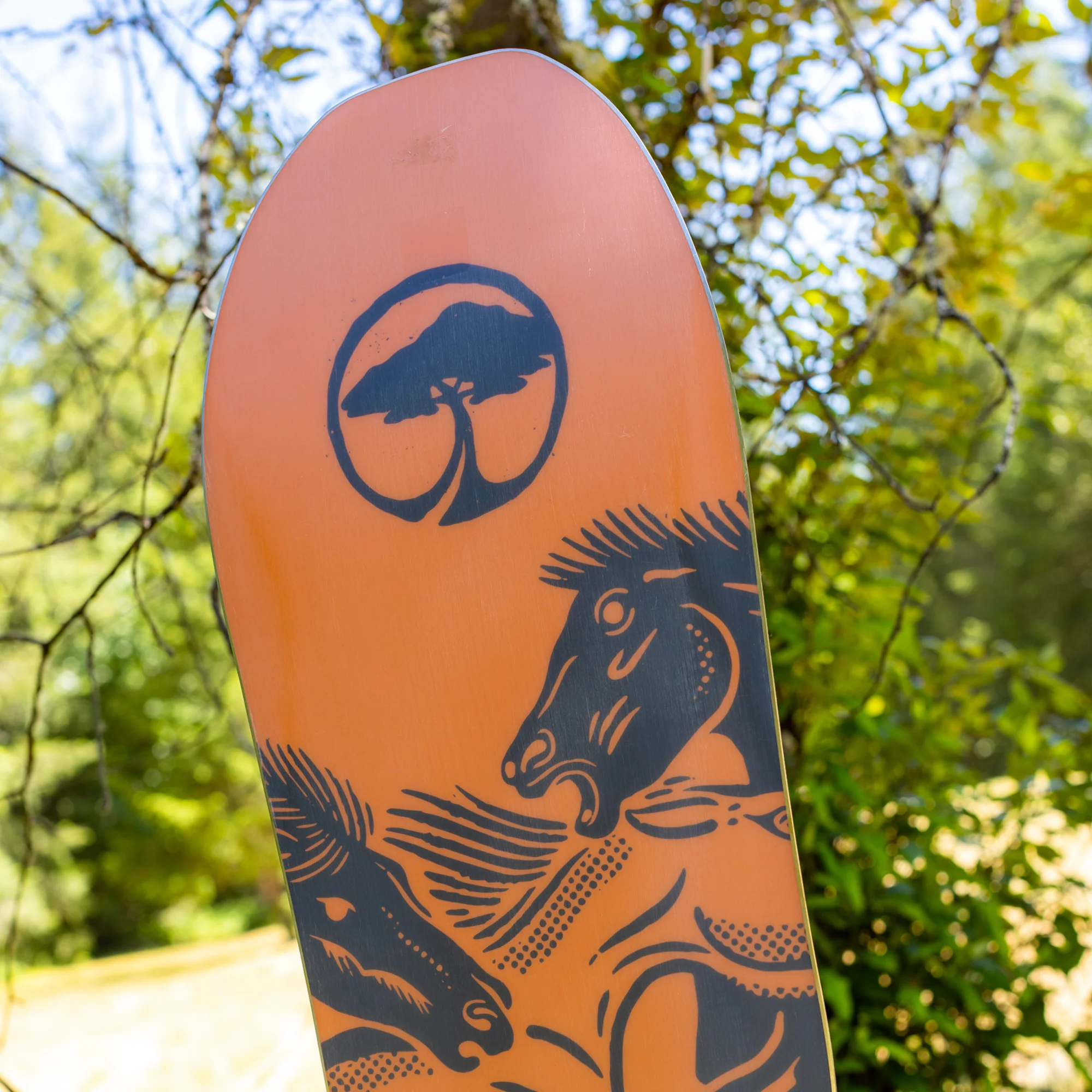 Carter Camber - Image 7