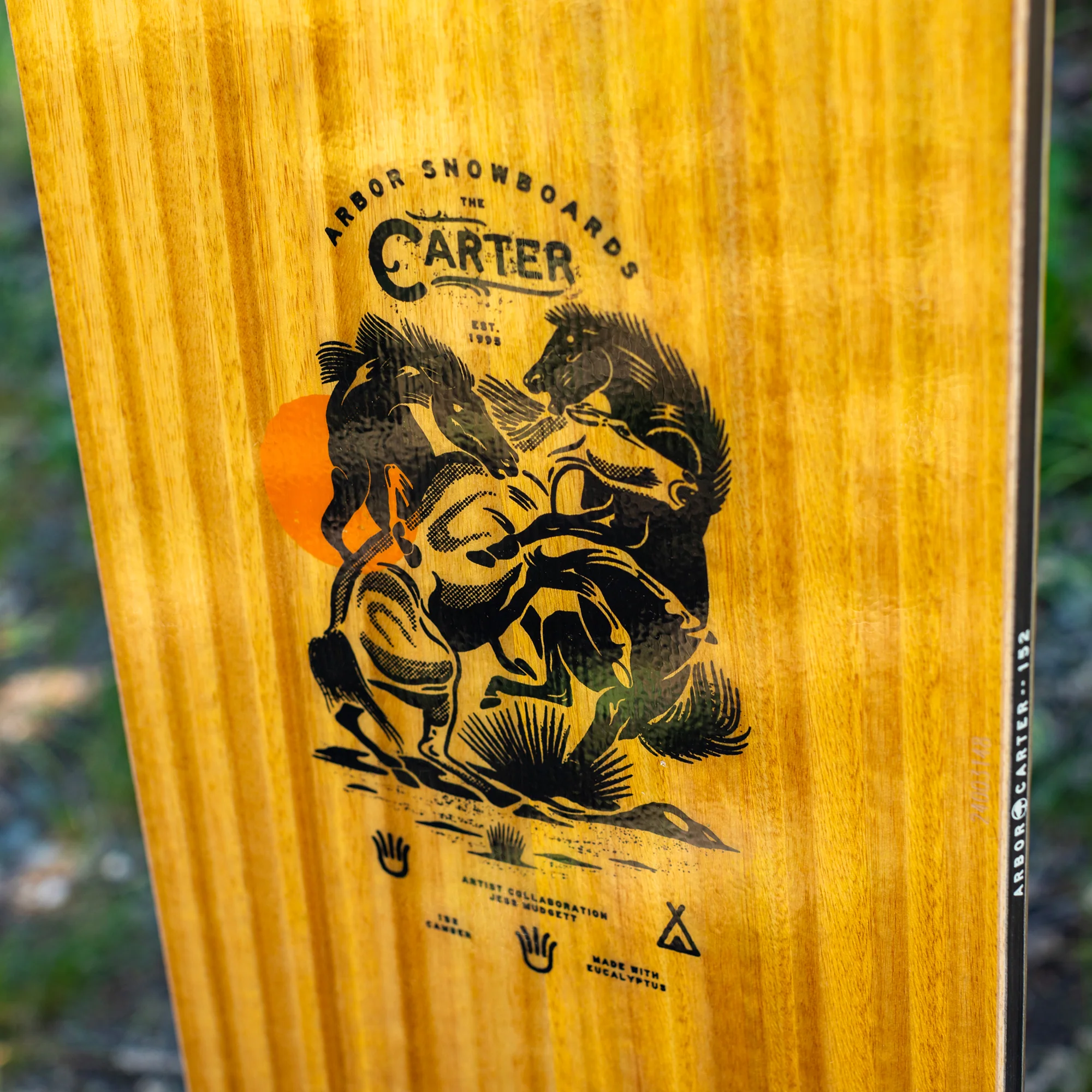 Carter Camber - Image 8