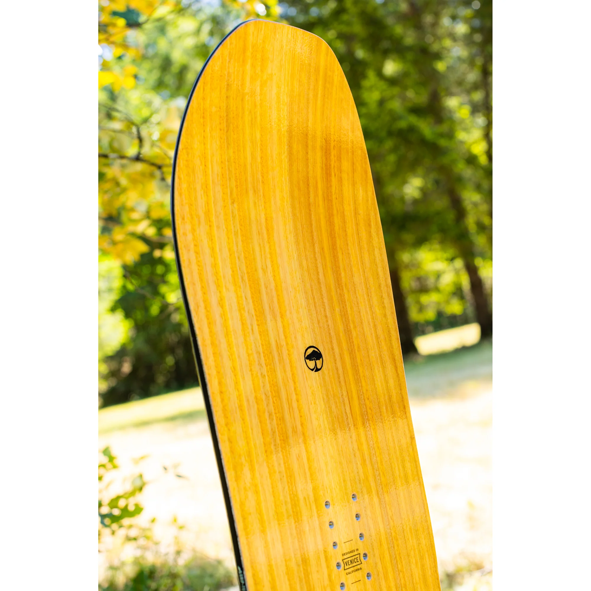 Carter Camber - Image 9