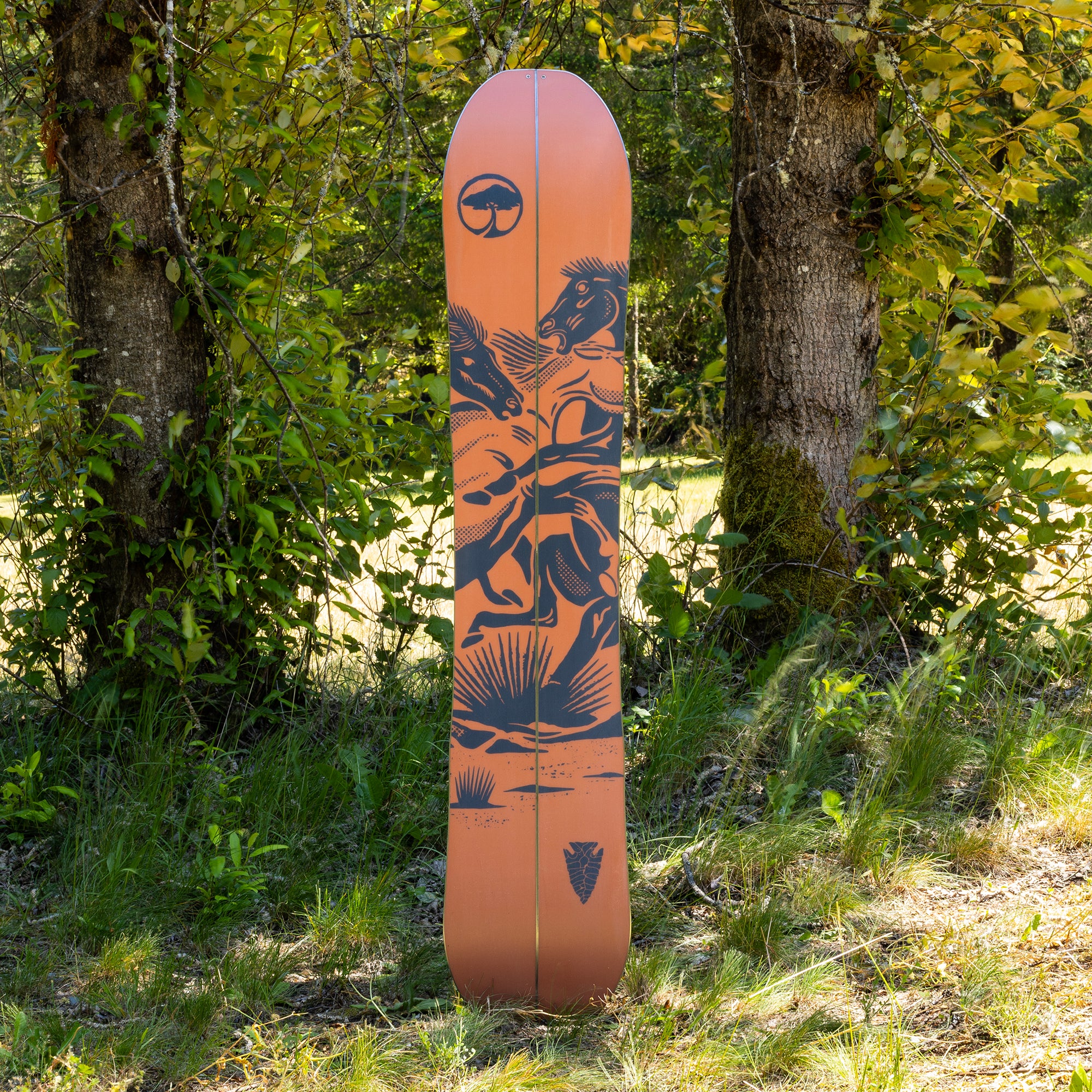 Carter Camber Splitboard - Image 6