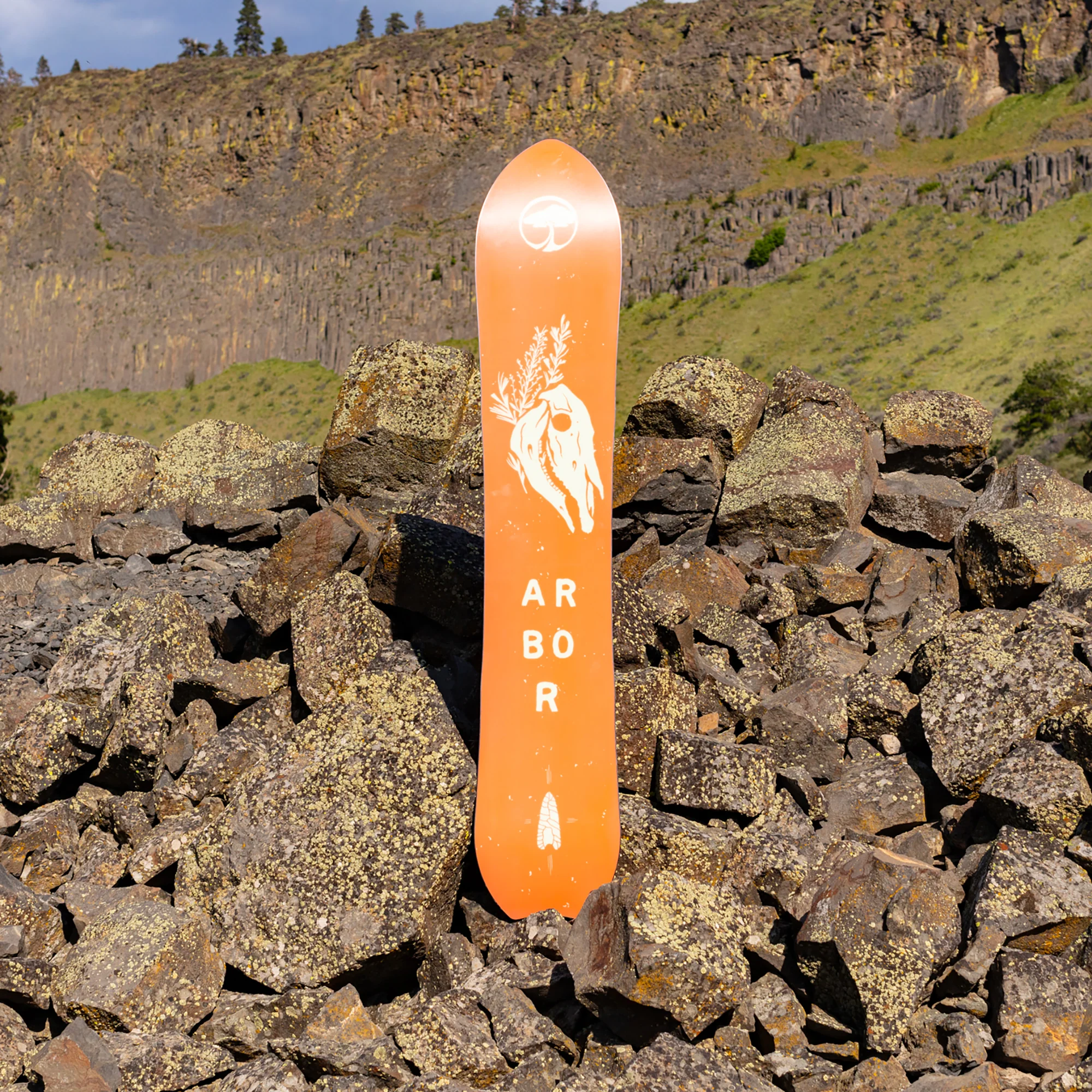 Clovis - Image 10