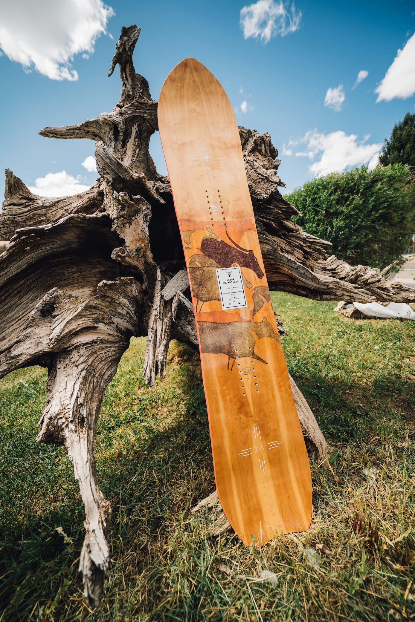 Clovis Women's - Image 2