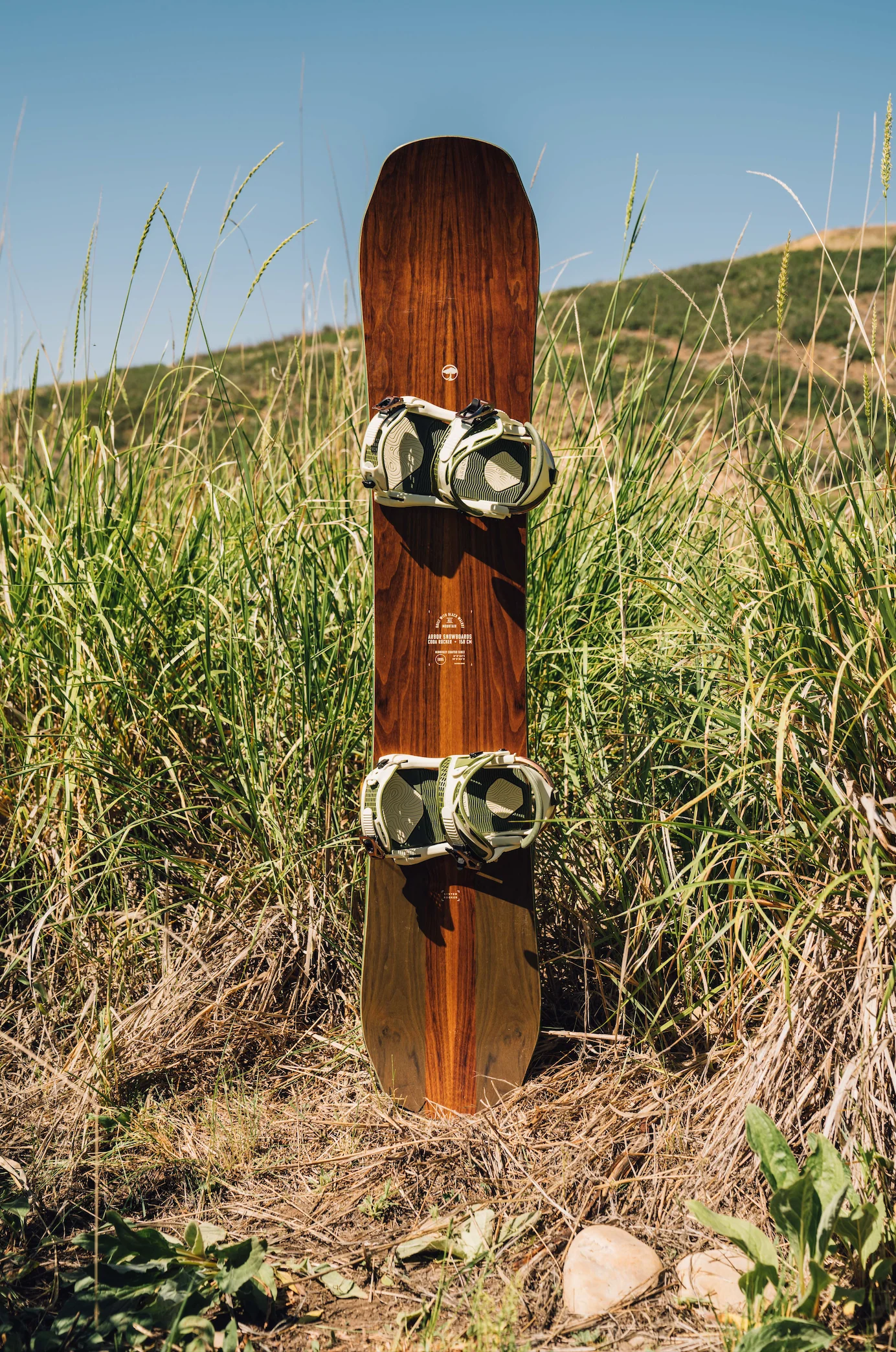 Coda Camber - Image 2