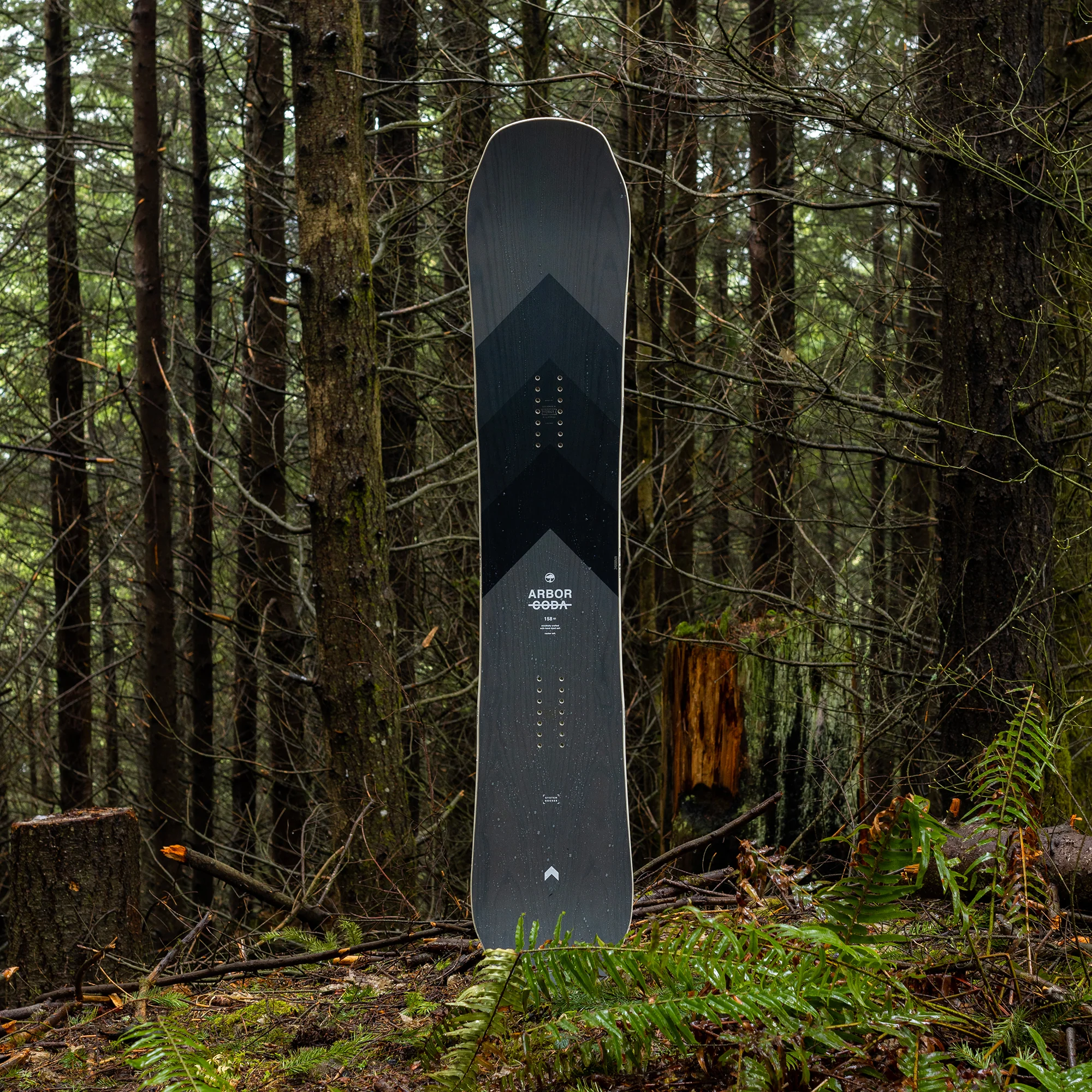 Coda Camber - Image 5