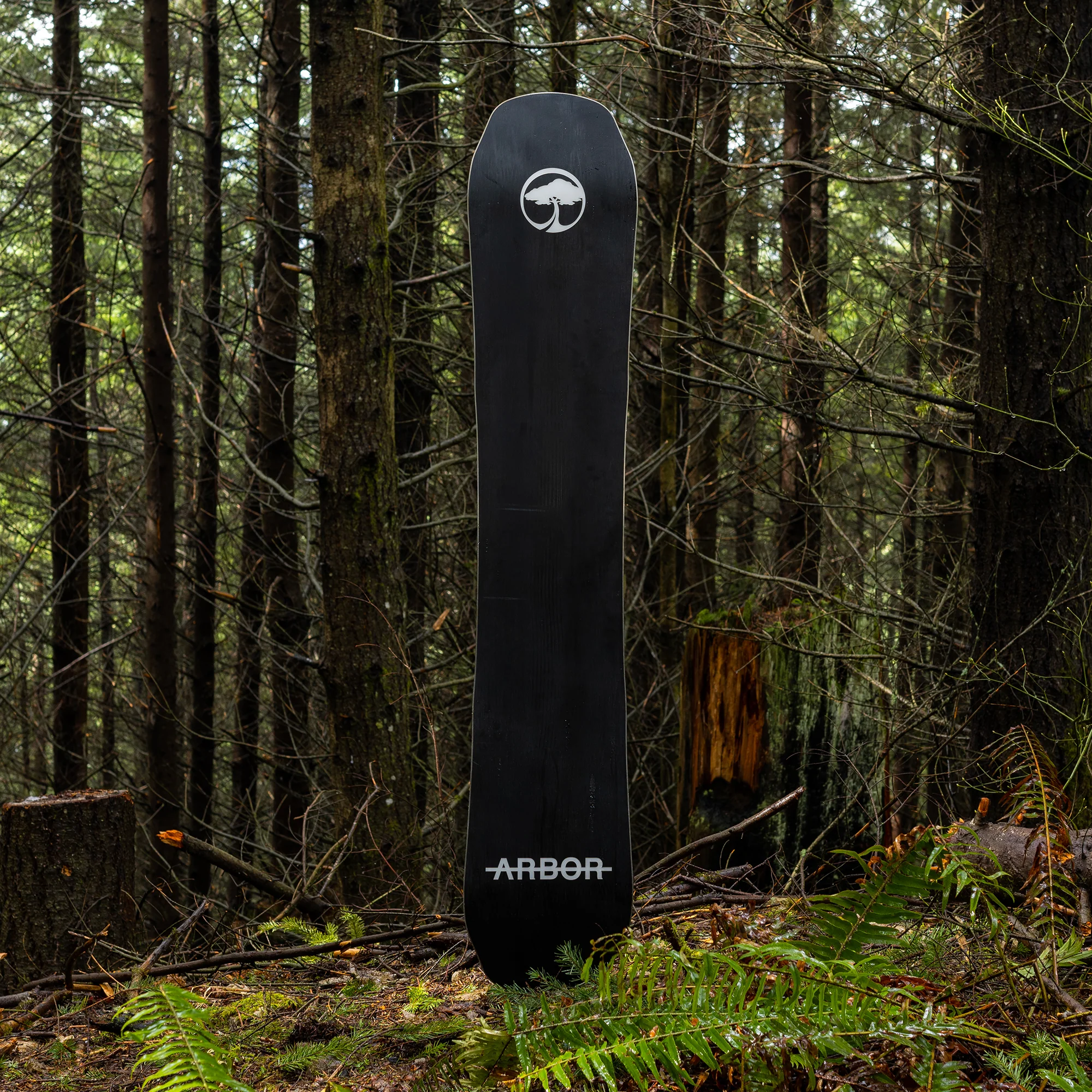 Coda Camber - Image 6