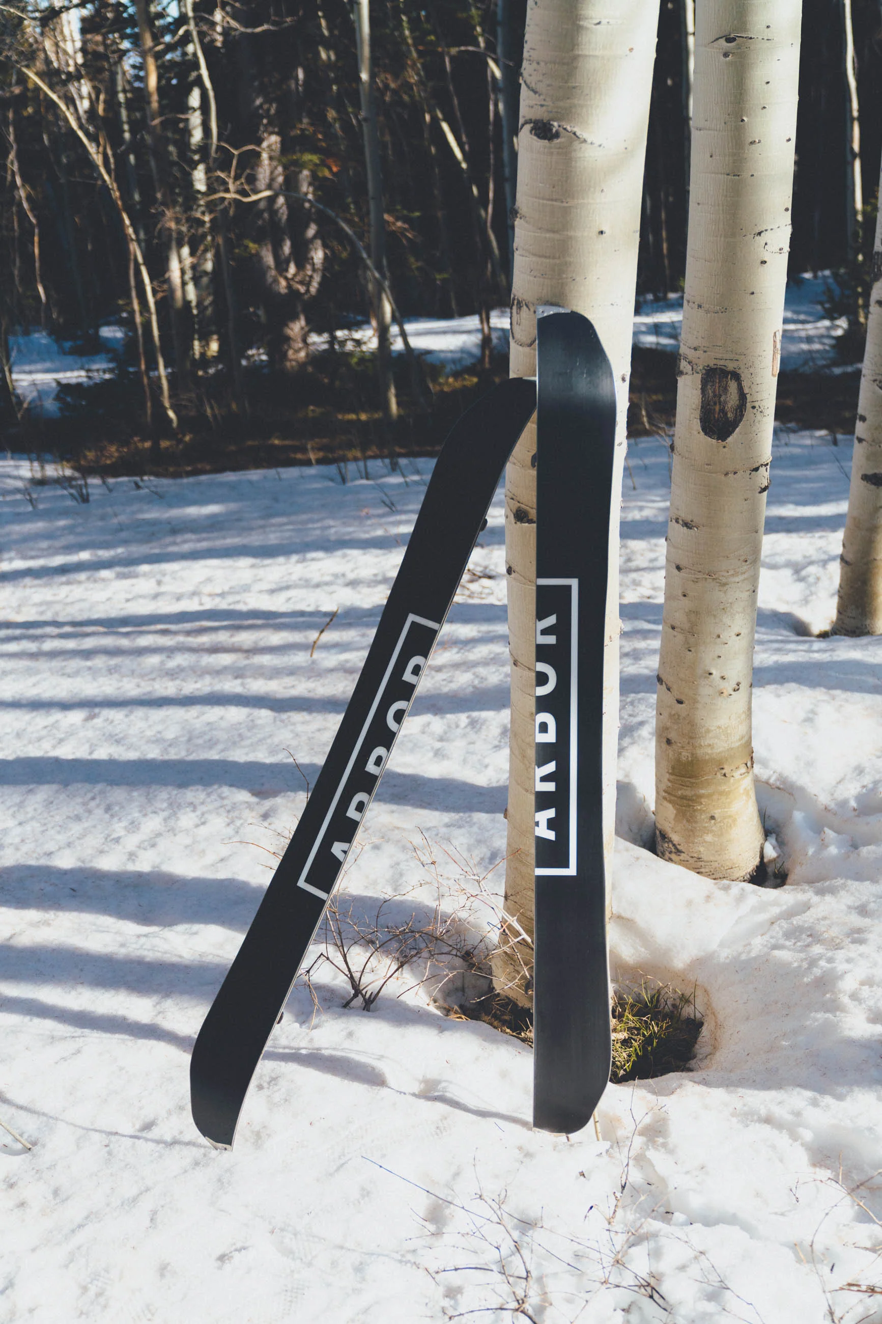 Coda Split Rocker - Image 2