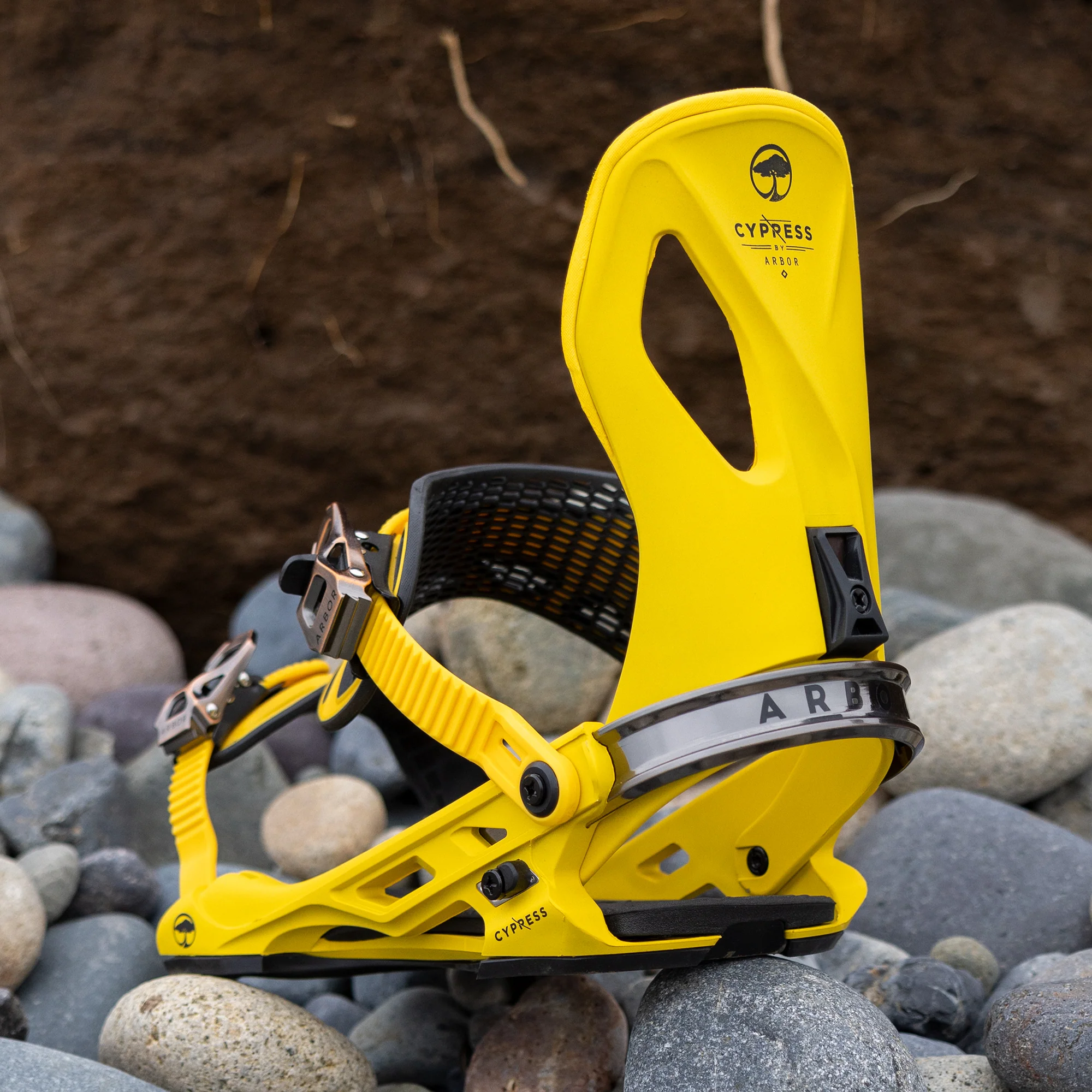 Cypress Yellow - Image 15