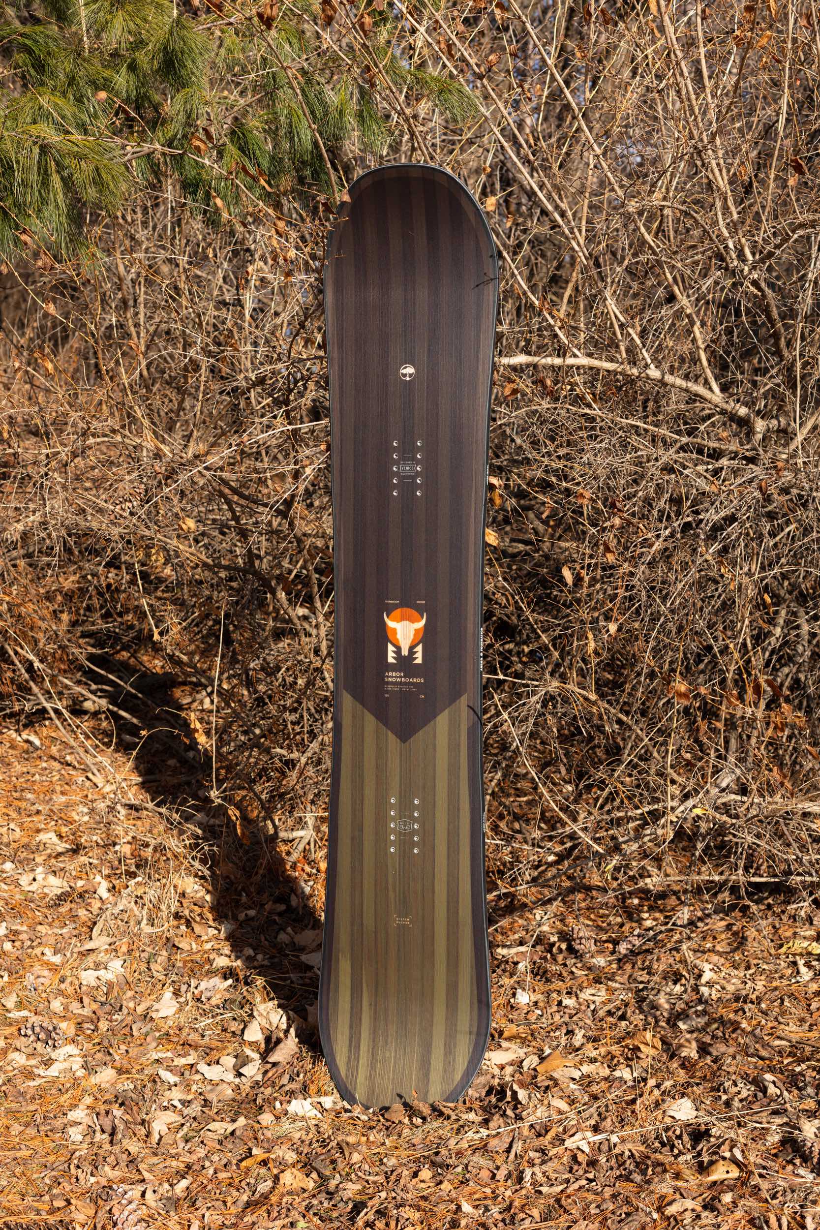 Foundation - Image 2