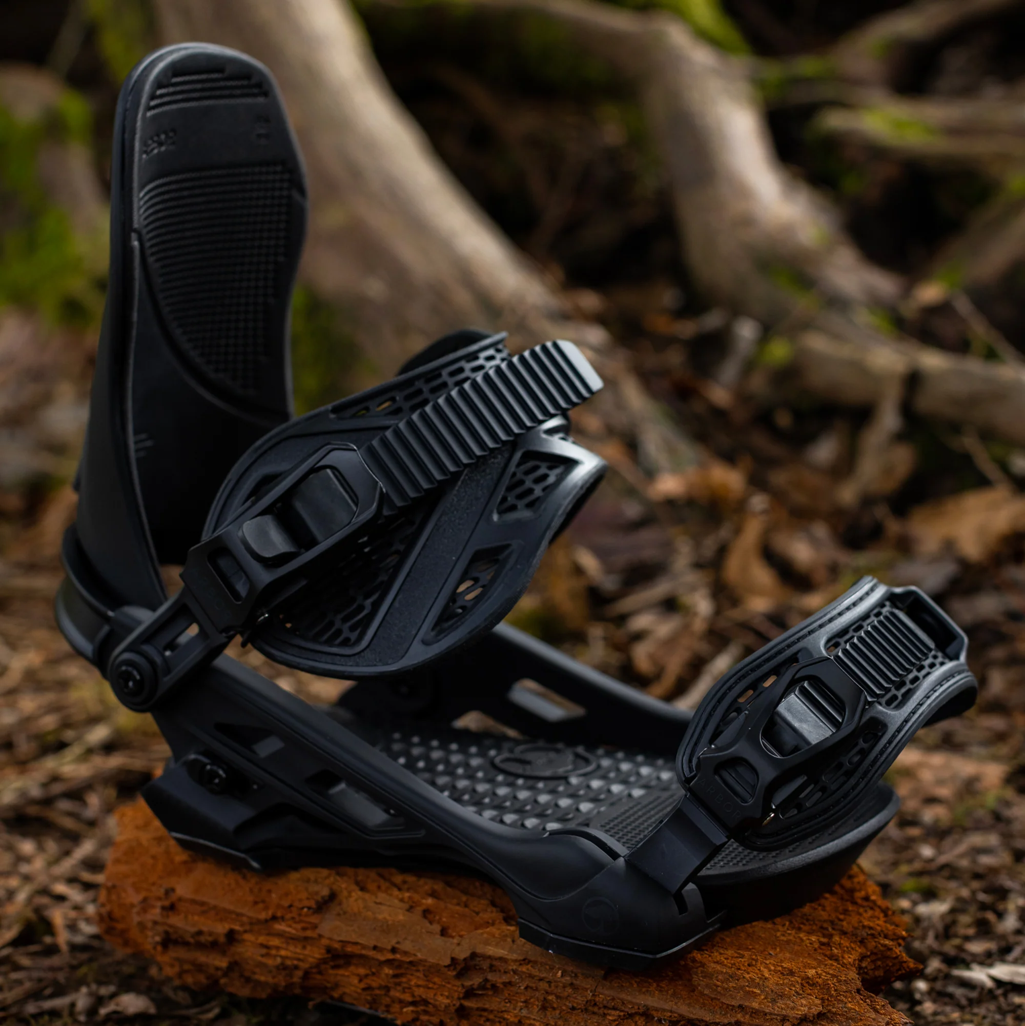 Hemlock Black - Image 6