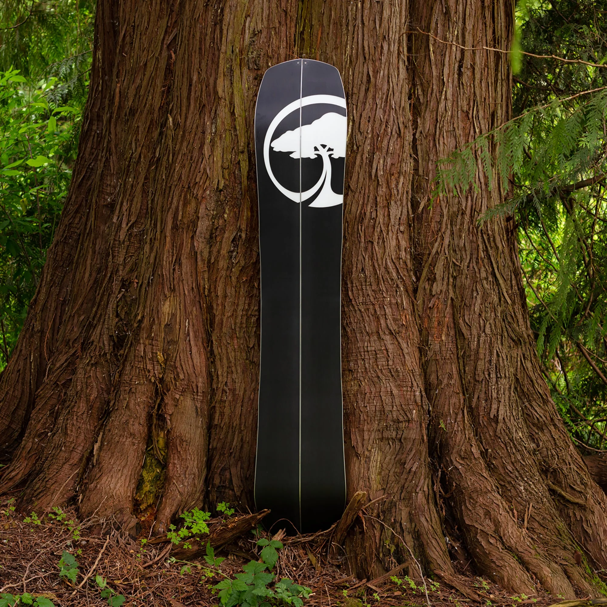 Landmark Splitboard Camber (Factory Second) - Image 8