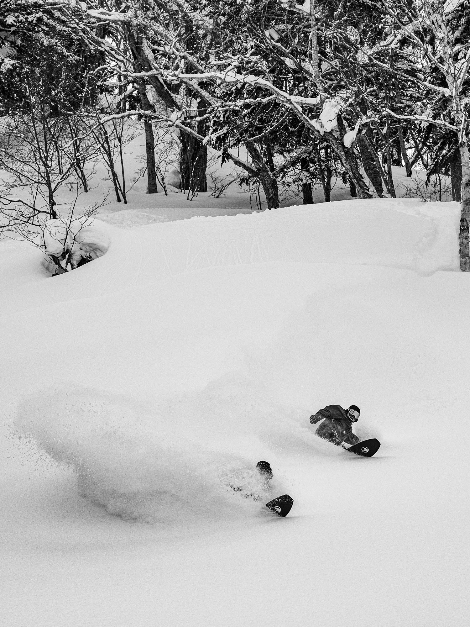 Padre Snowboard - Image 6