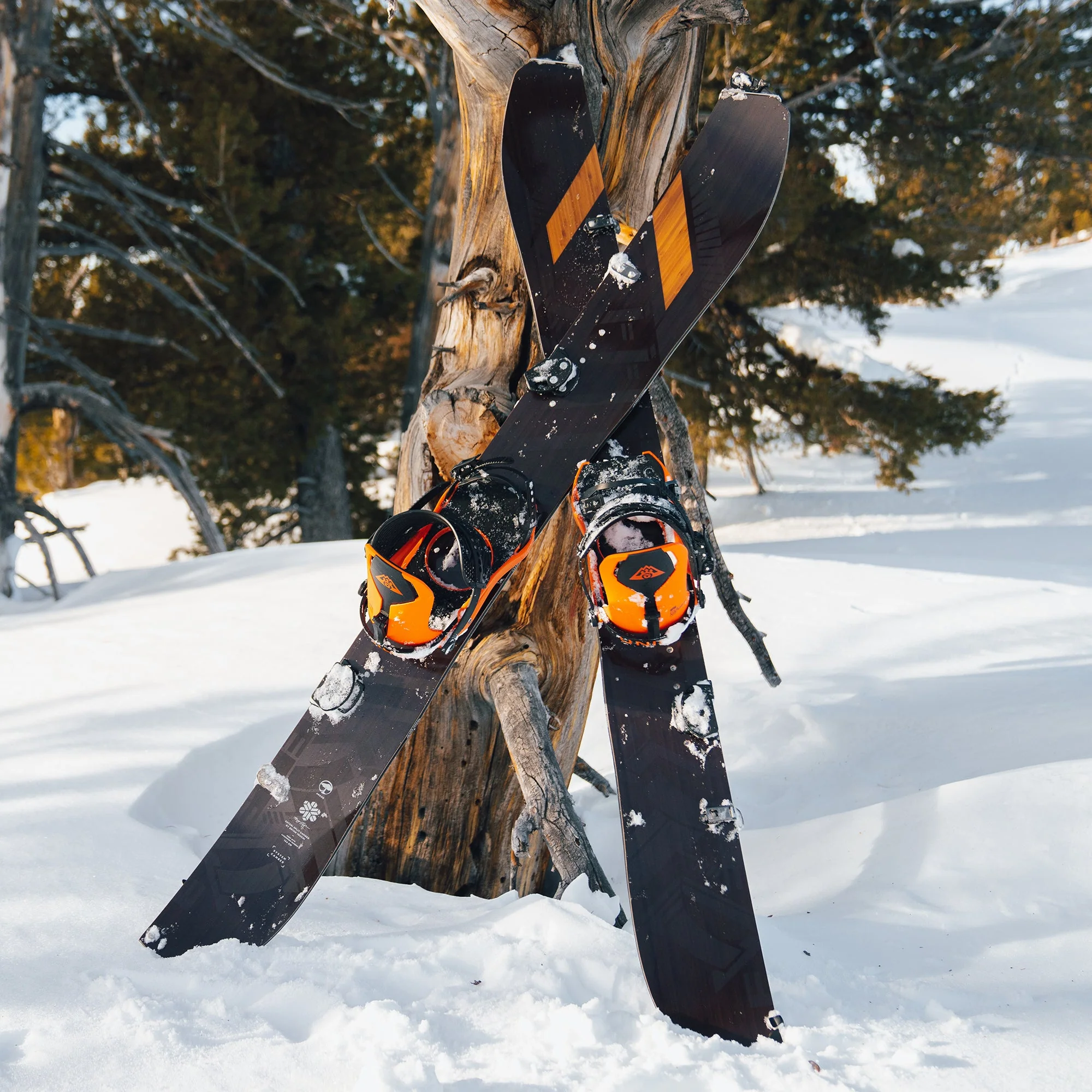 Satori Splitboard Camber (Factory Second) - Image 6