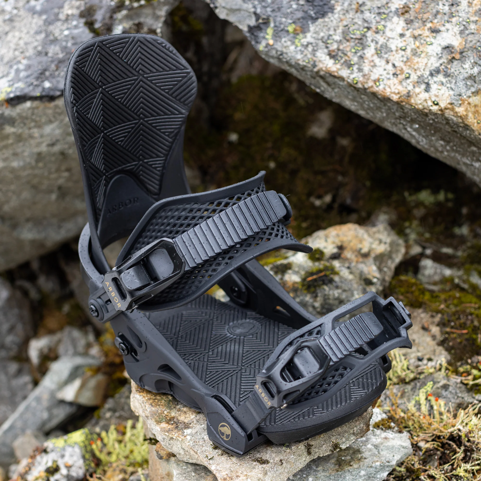 Sequoia Black - Image 5