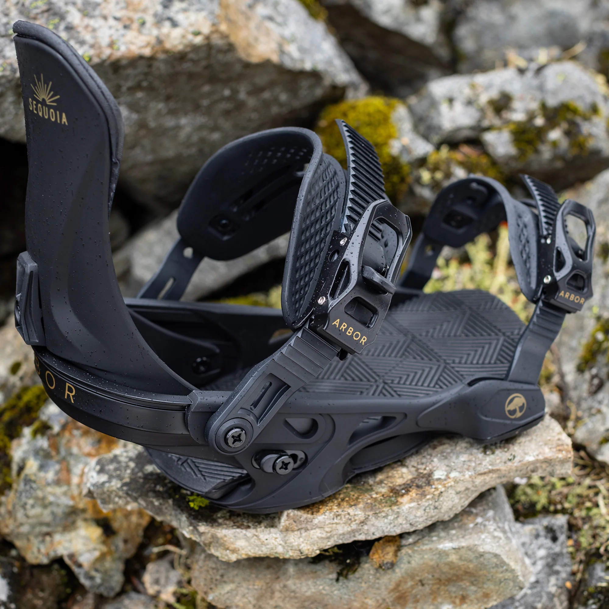 Sequoia Black - Image 6