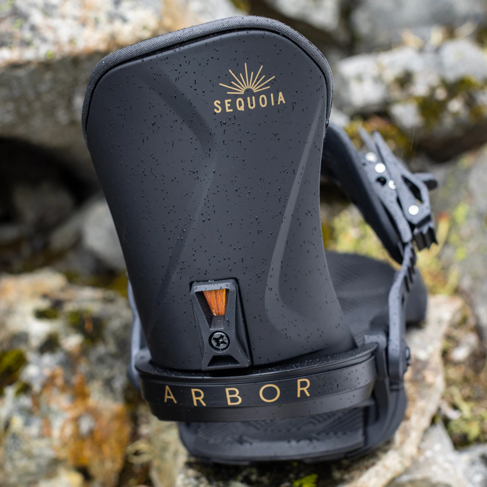 Sequoia Black - Image 7