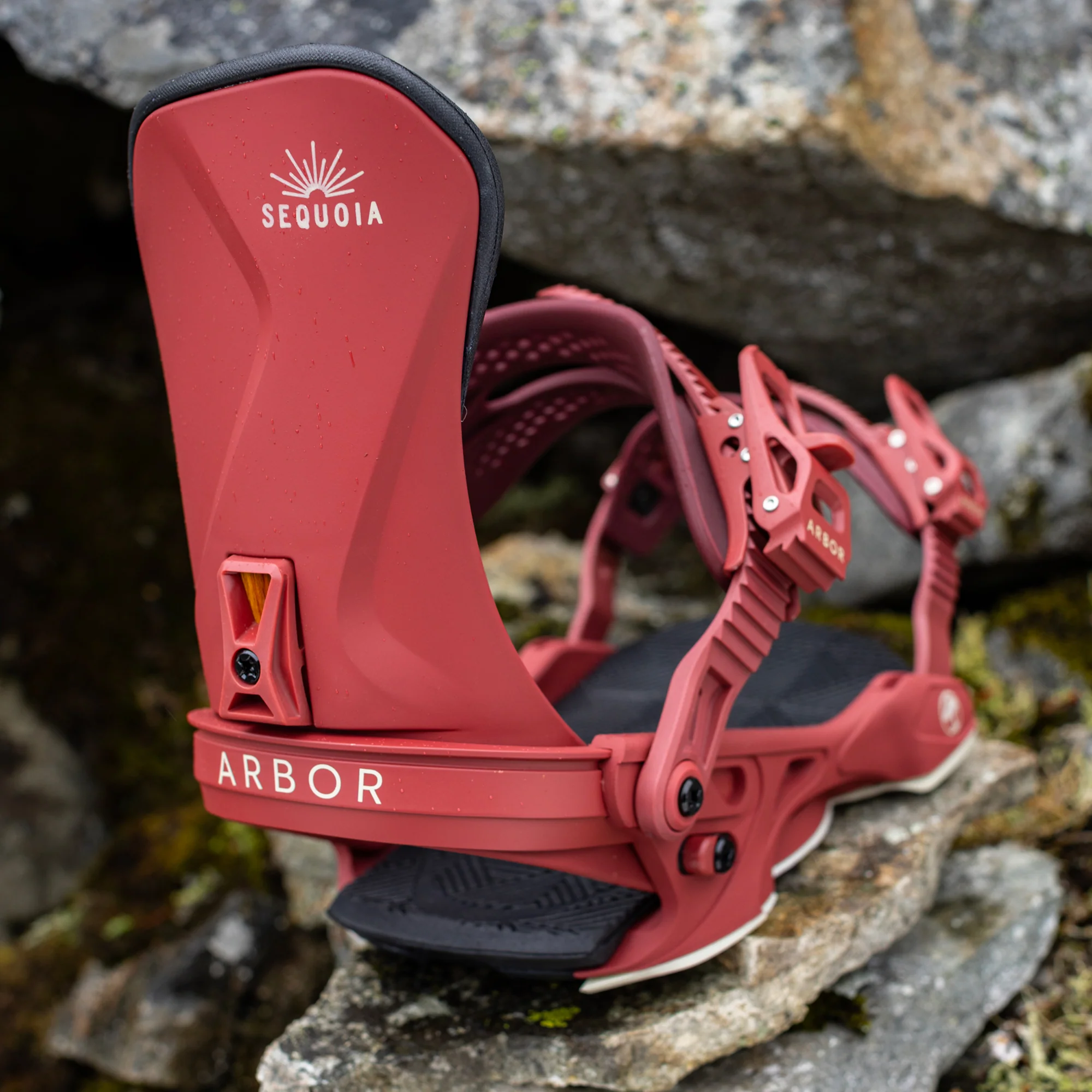Sequoia Merlot - Image 5