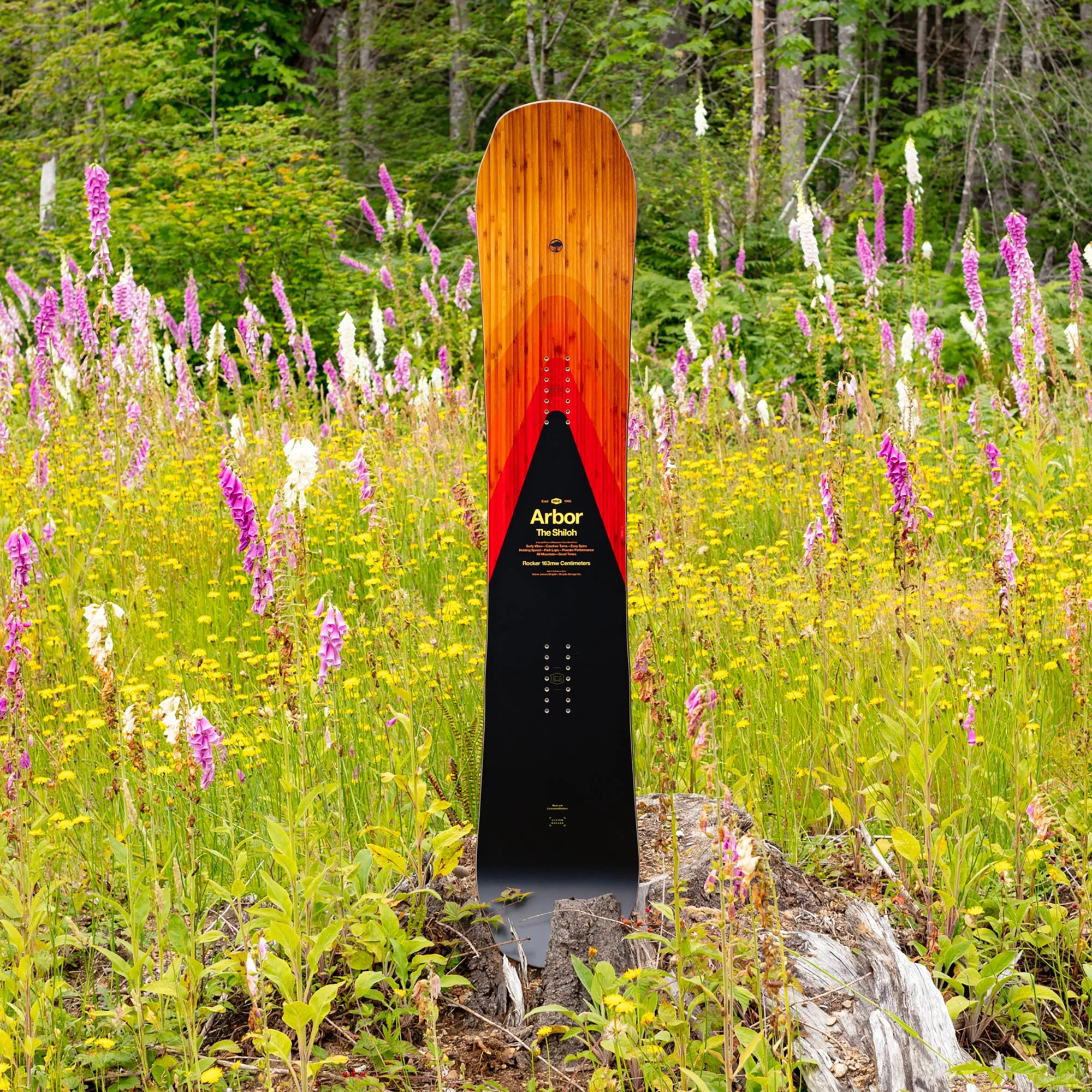 Shiloh Rocker (Factory Second) - Image 5