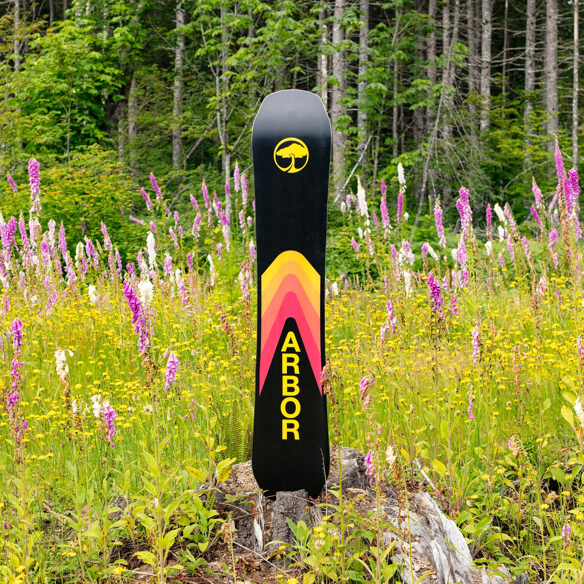 Shiloh Rocker (Factory Second) - Image 6