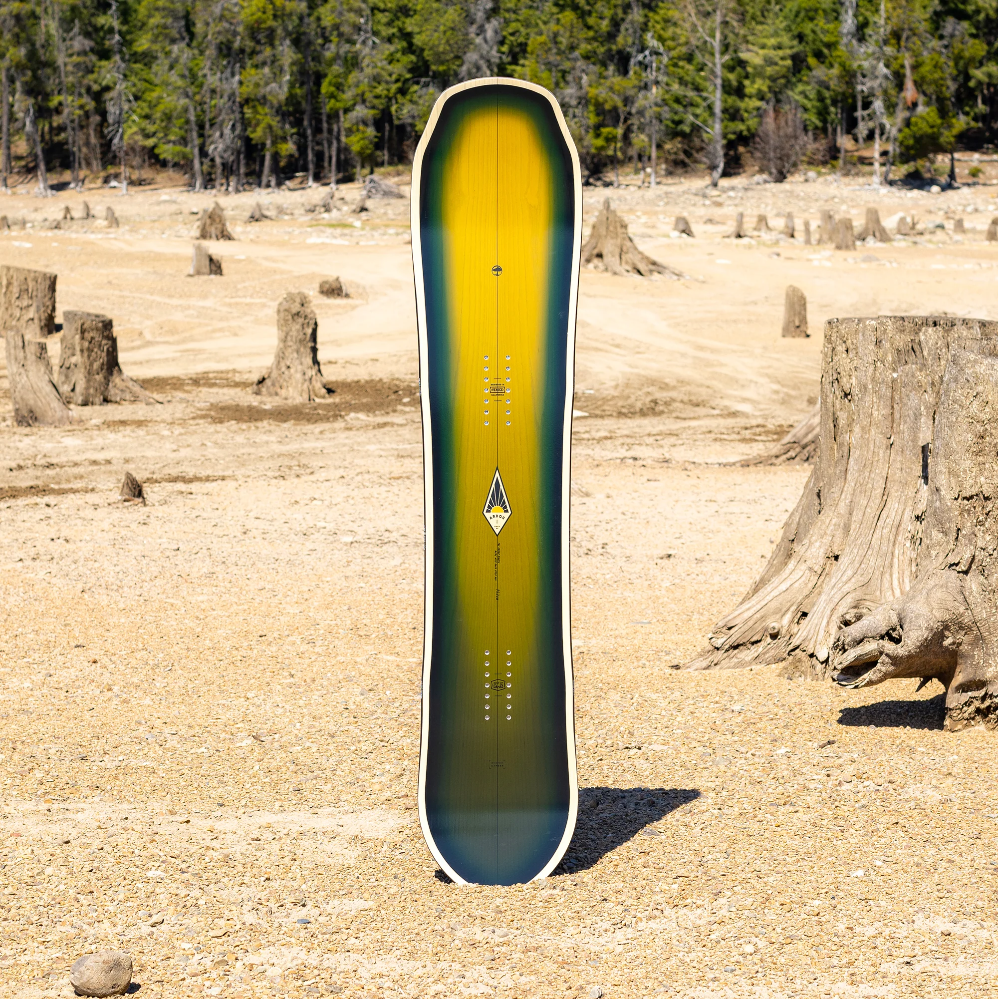 Single Camber - Image 5