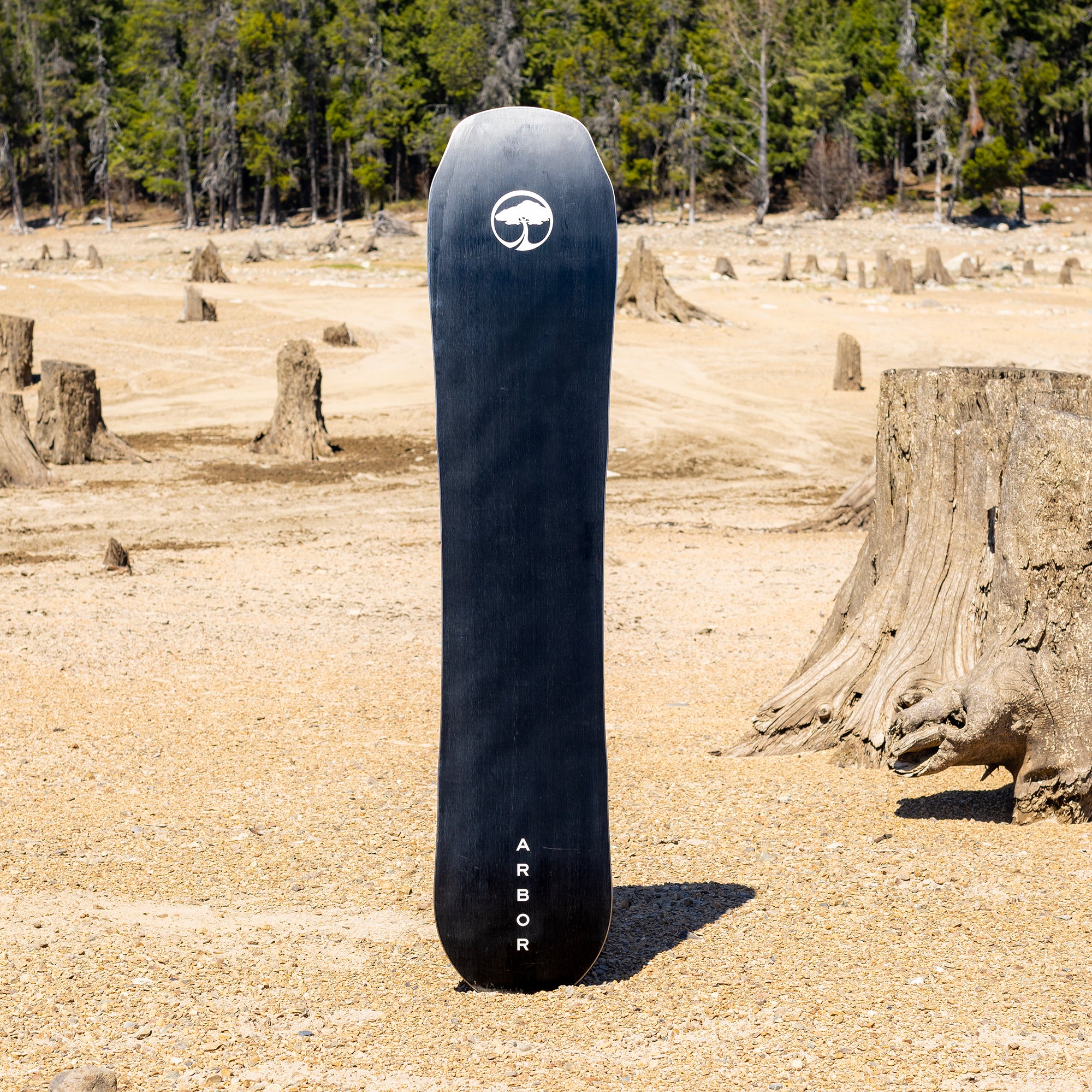 Single Camber - Image 6