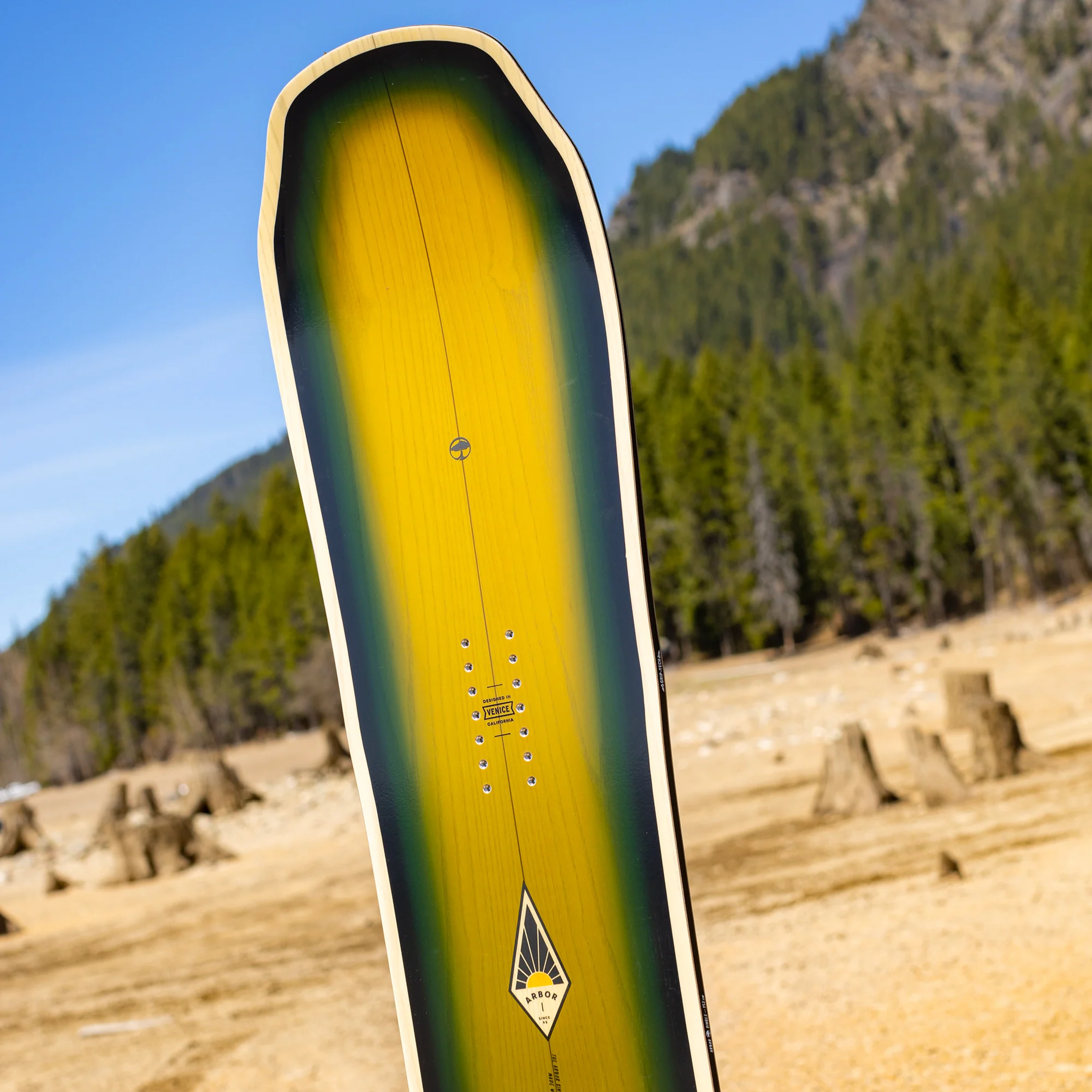 Single Camber - Image 7