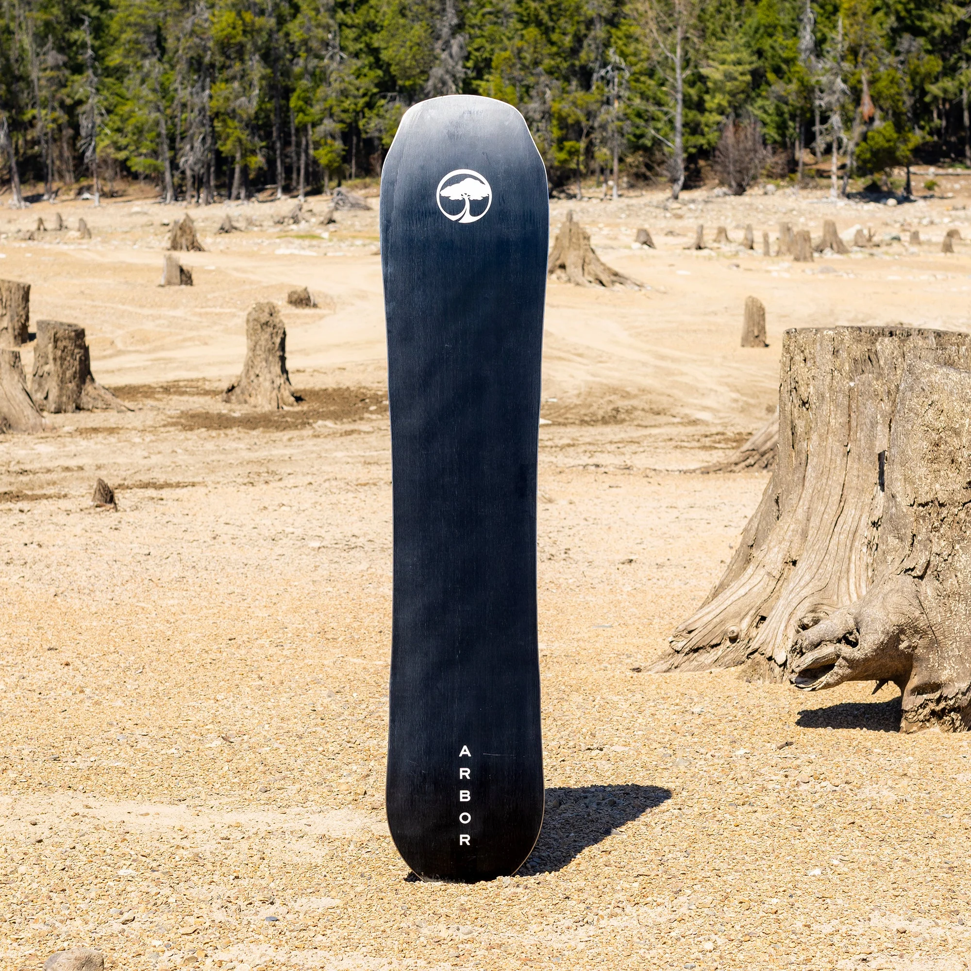 Single Camber (Factory Second) - Image 6