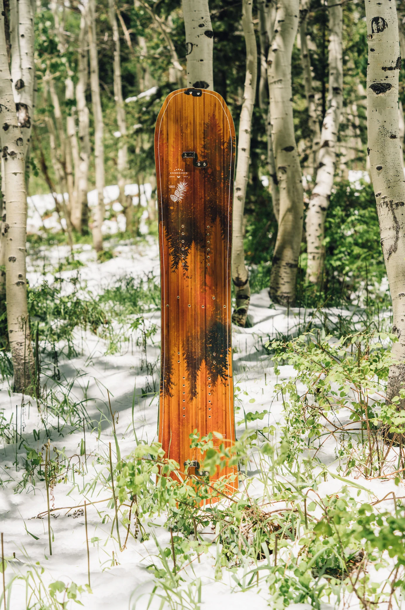 Swoon Splitboard - Image 2