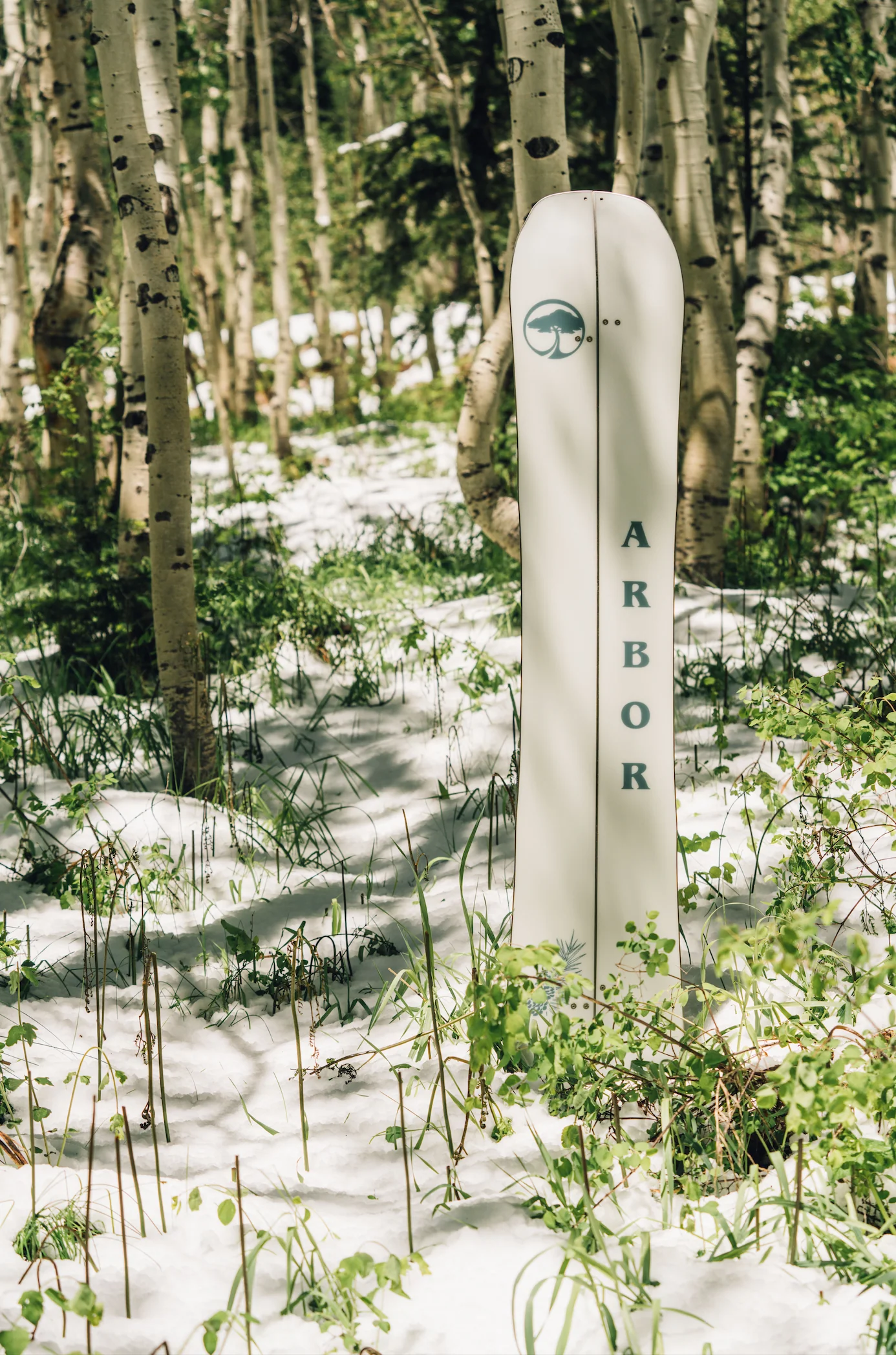 Swoon Splitboard - Image 3