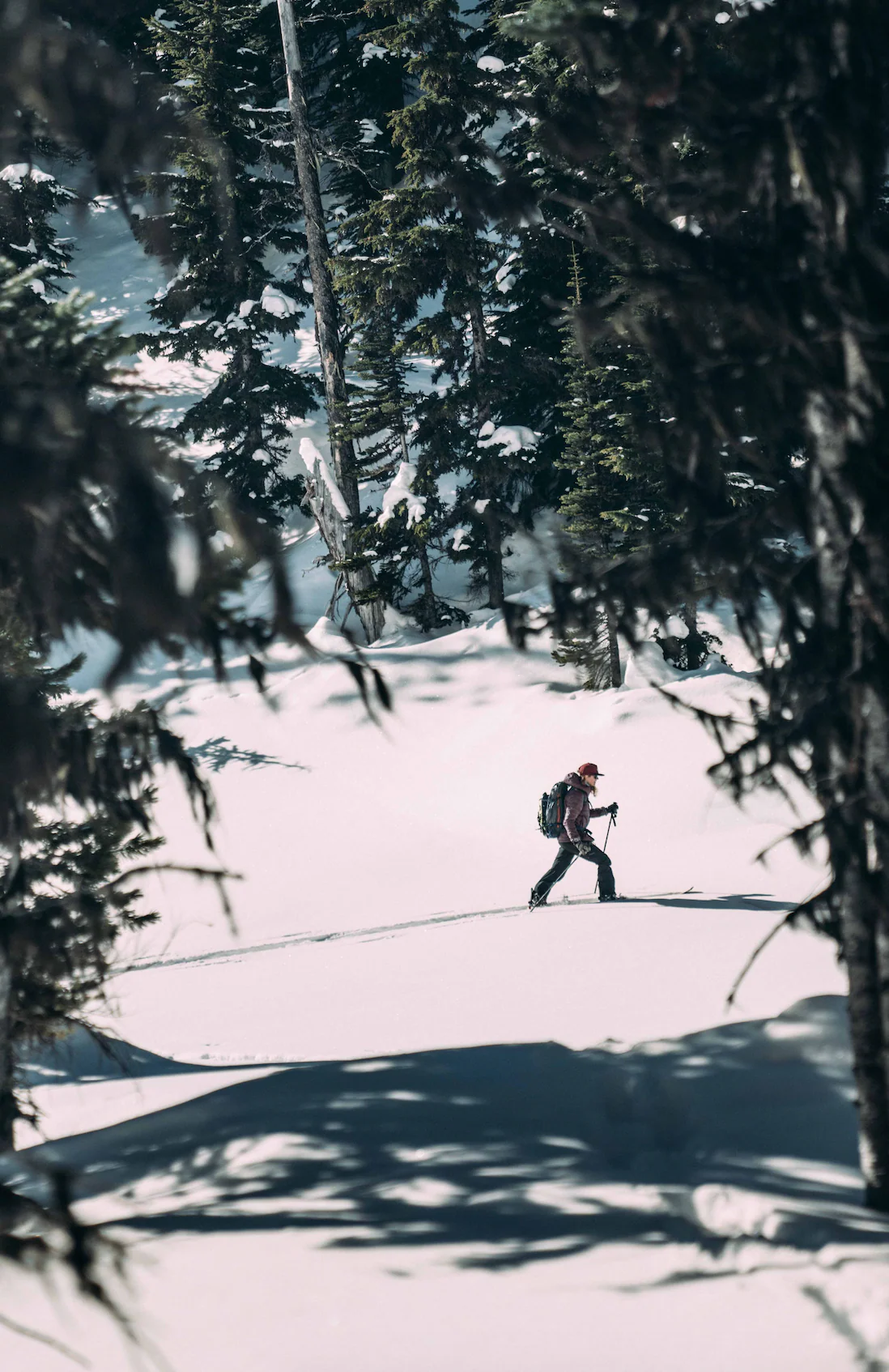 Swoon Splitboard Camber - Image 7