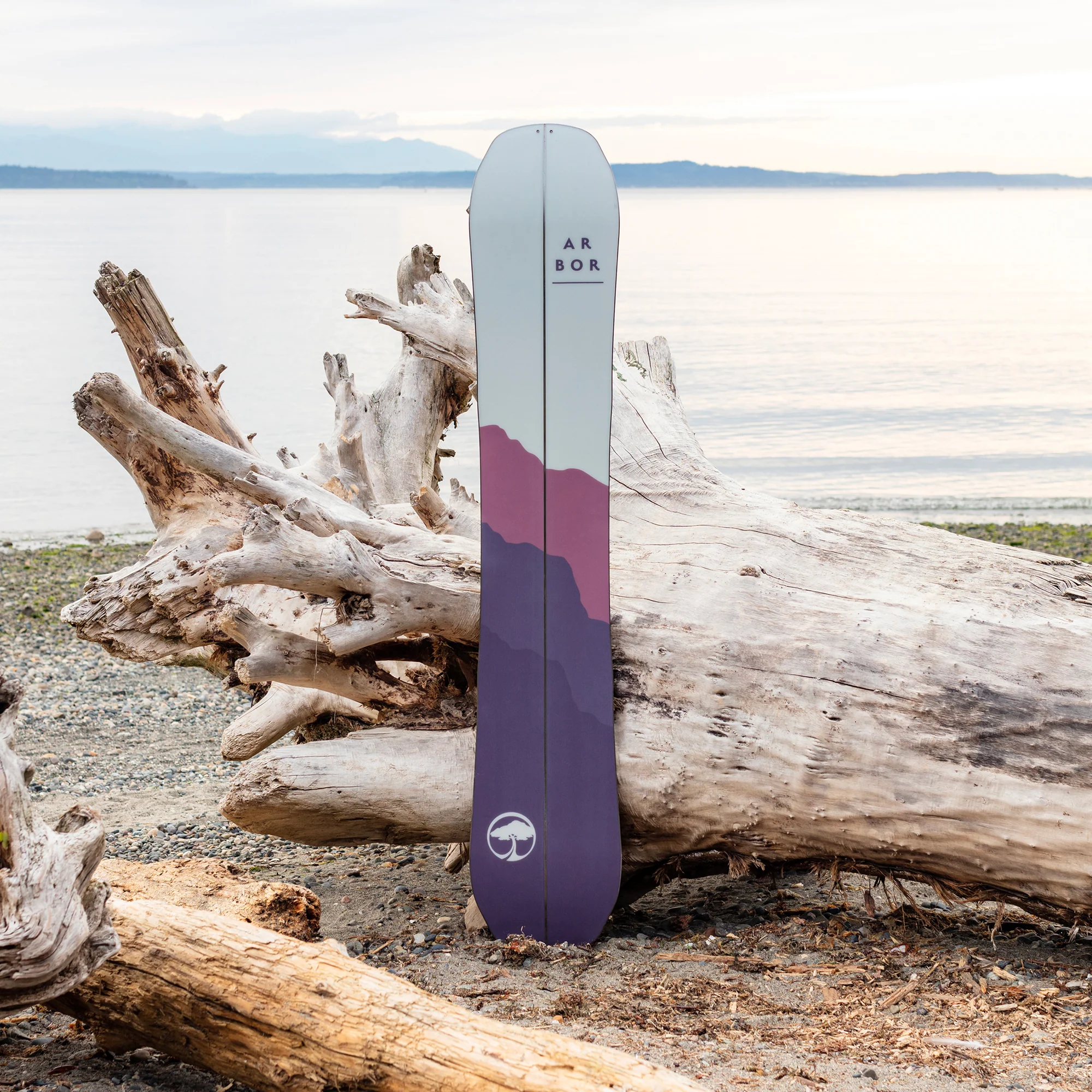 Swoon Splitboard Camber - Image 6