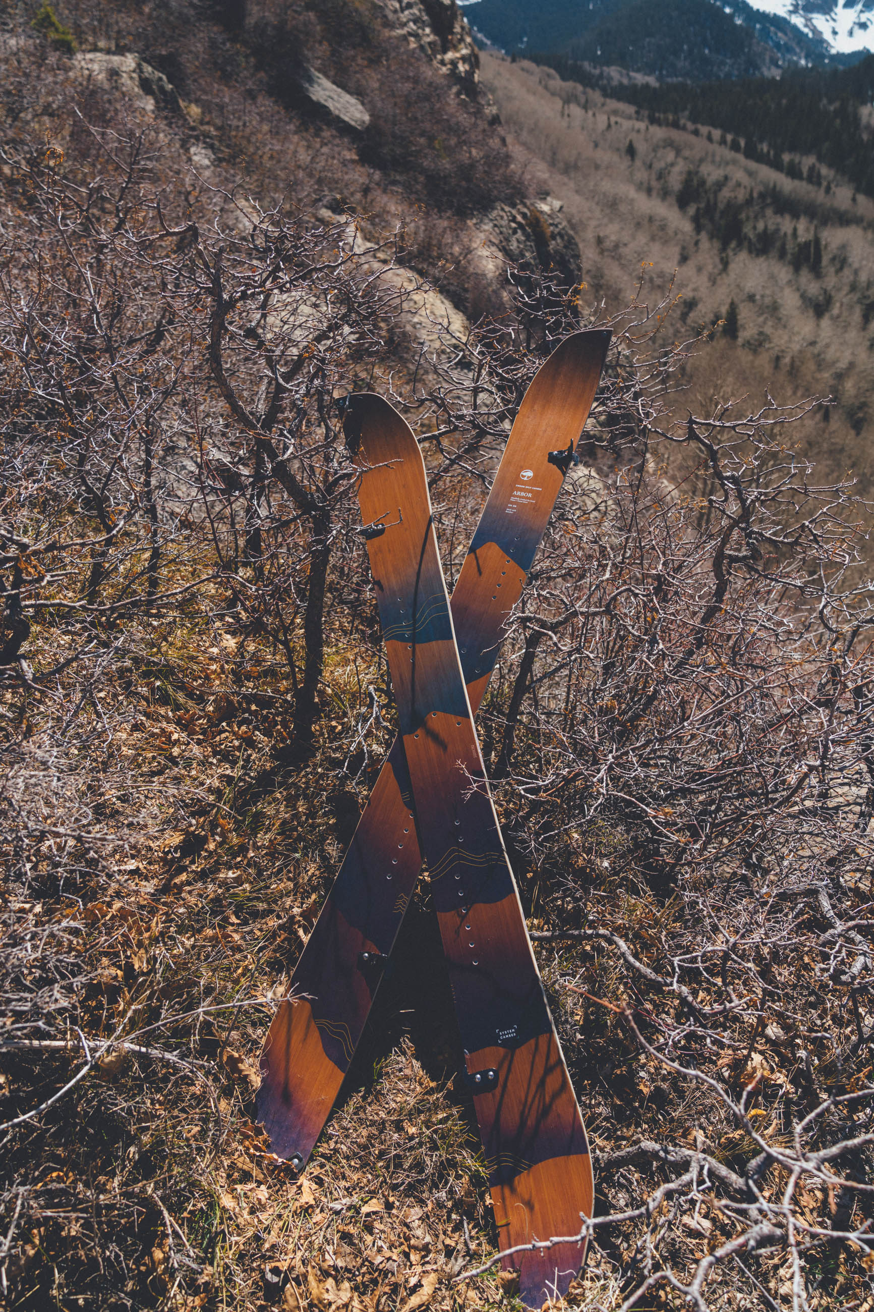 Swoon Splitboard Rocker - Image 2