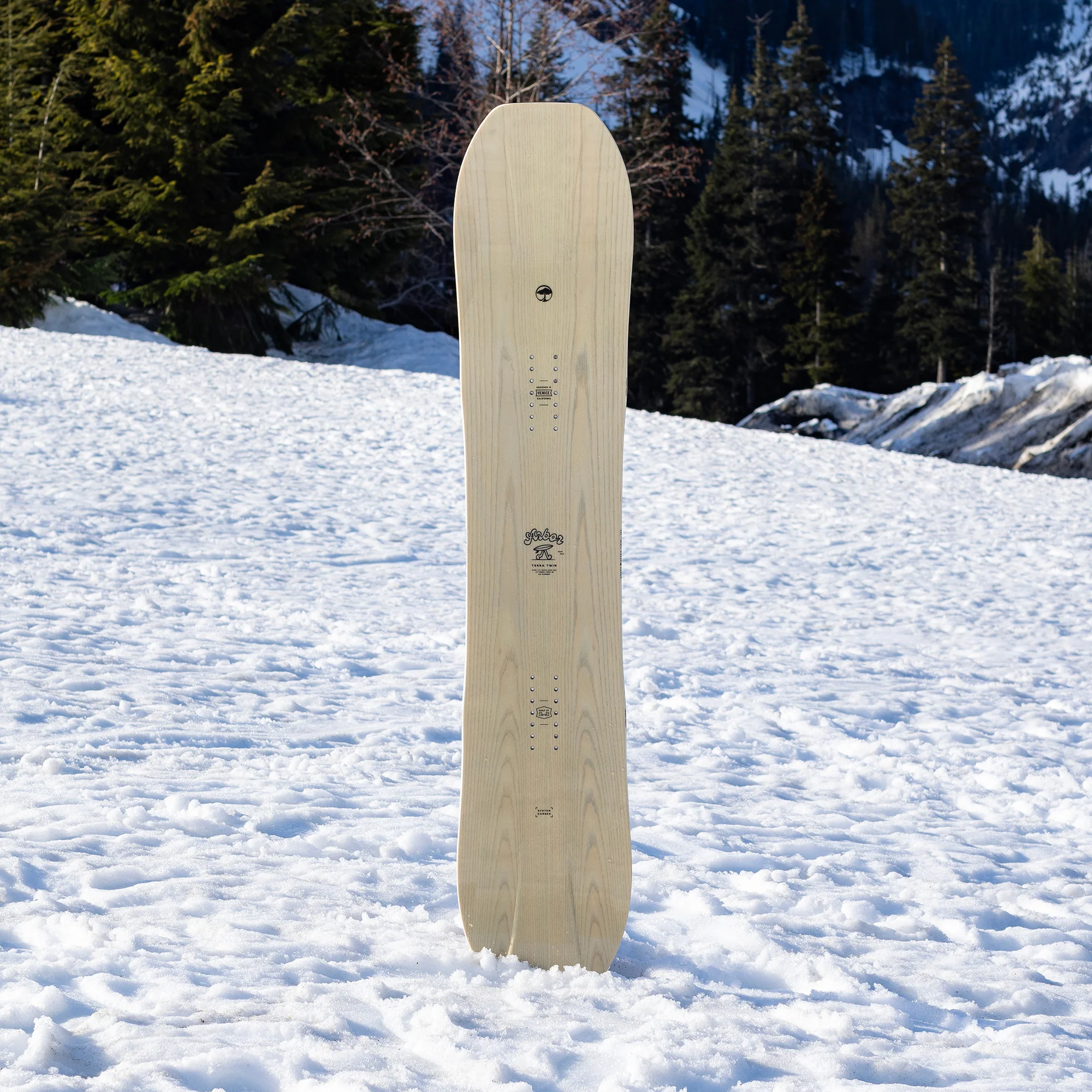 Terra Twin Camber - Image 5