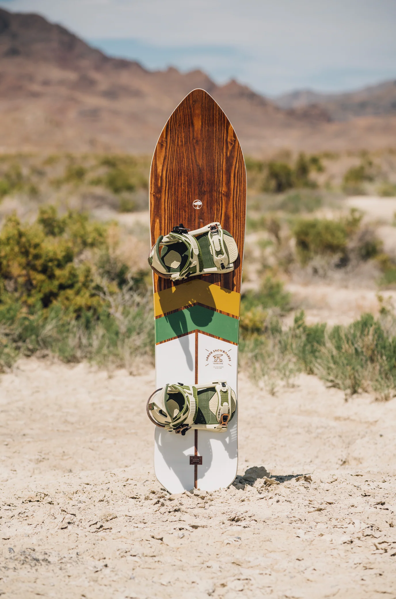 Terrapin - Image 2