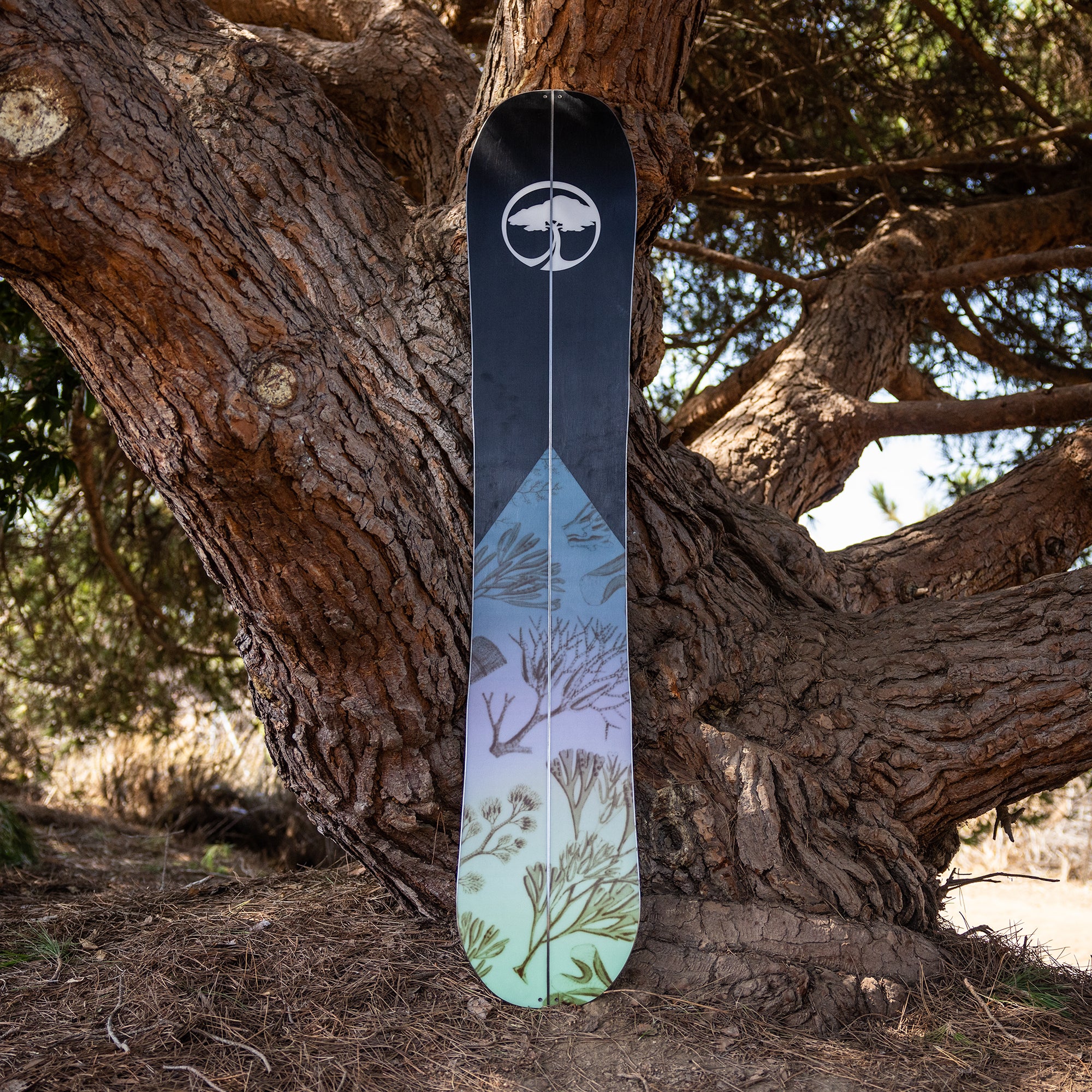 Veda Splitboard Camber - Image 6