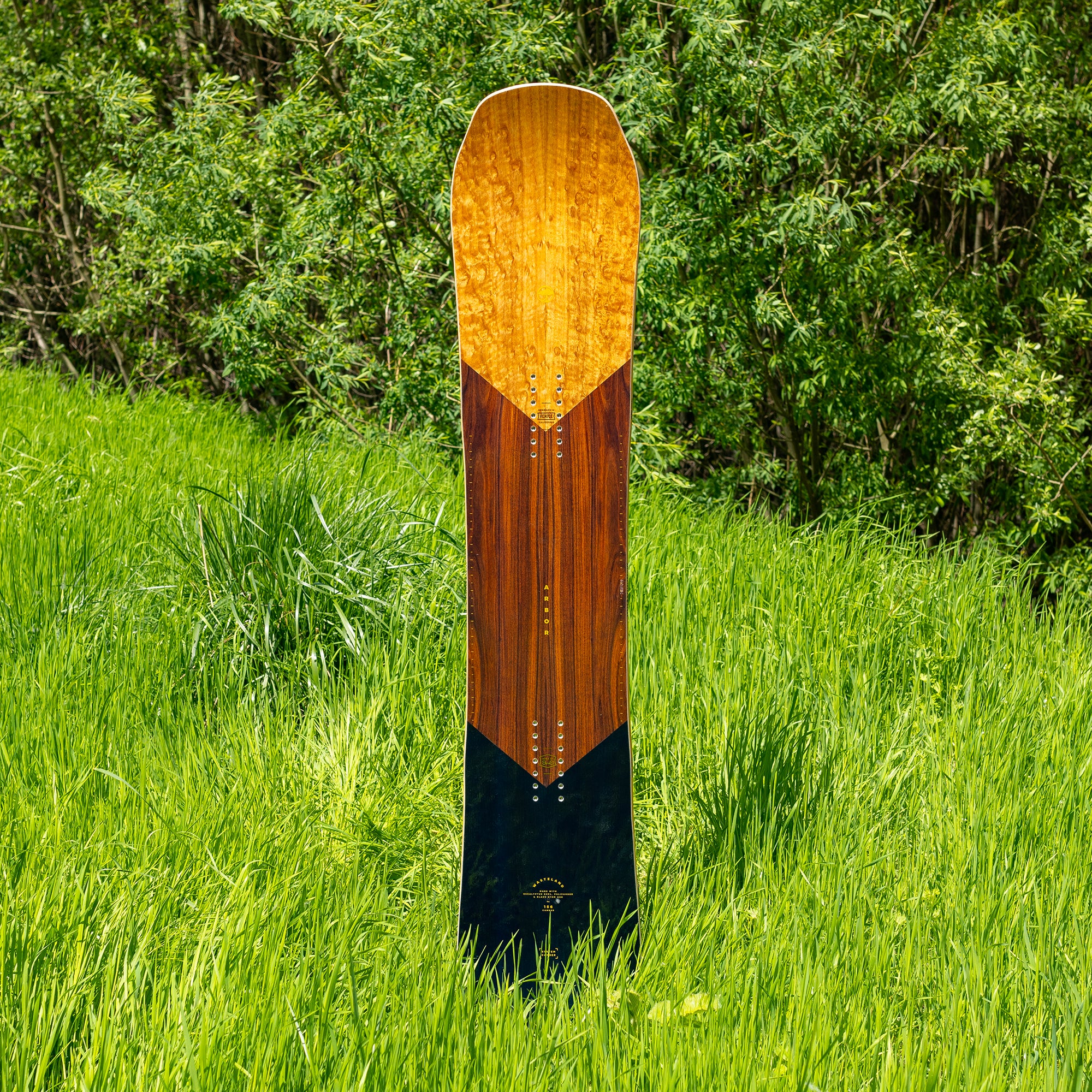 Wasteland Camber - Image 5