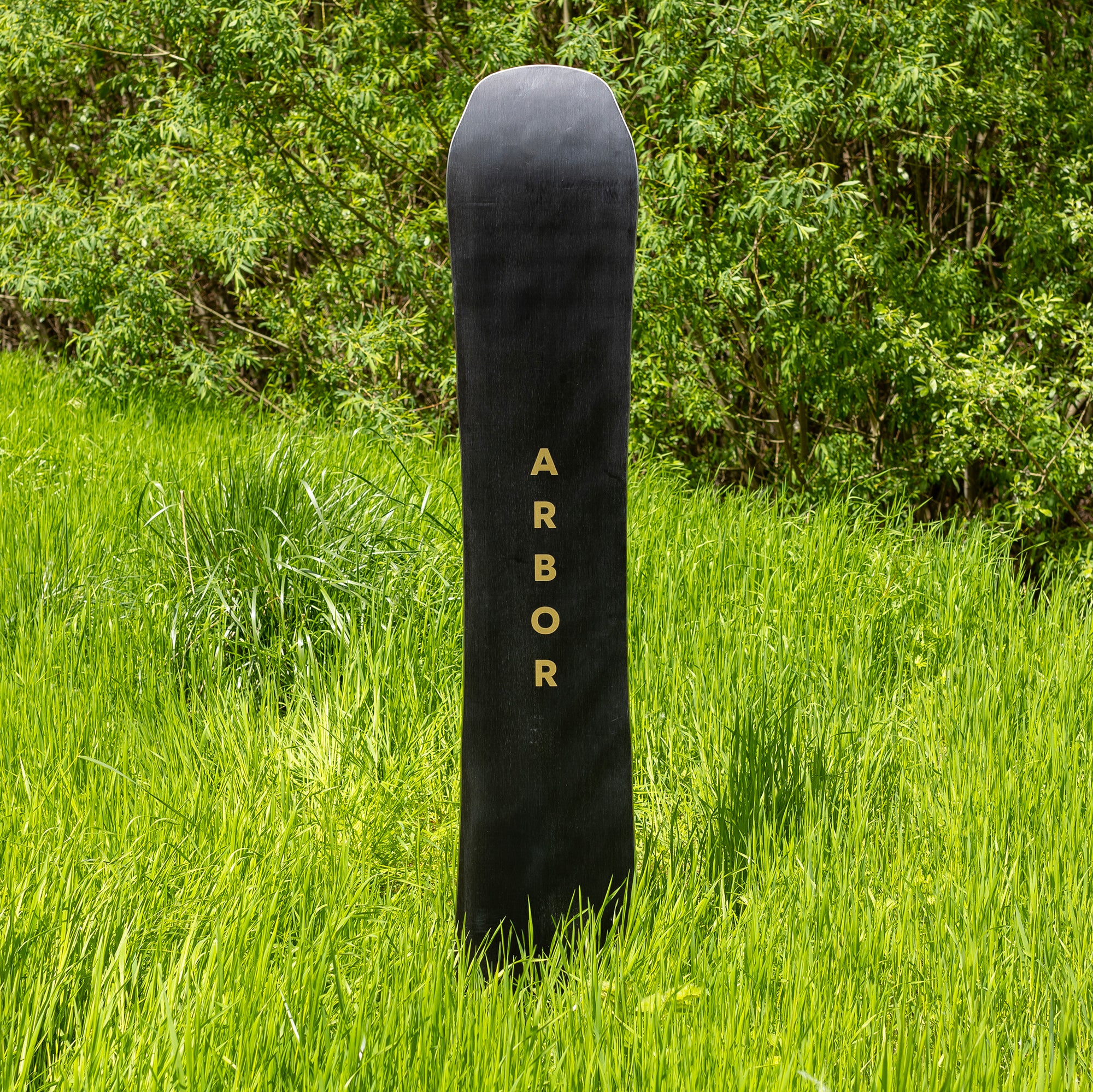 Wasteland Camber - Image 6