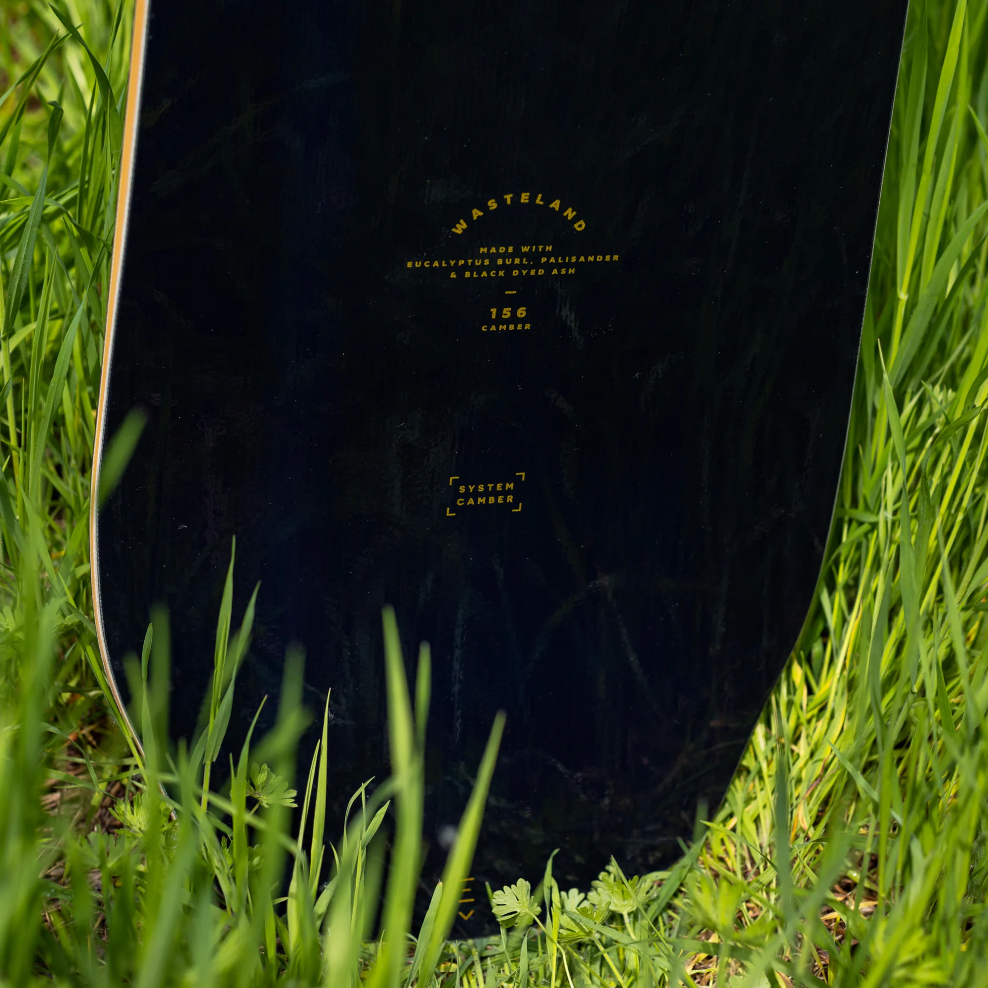 Wasteland Camber - Image 8